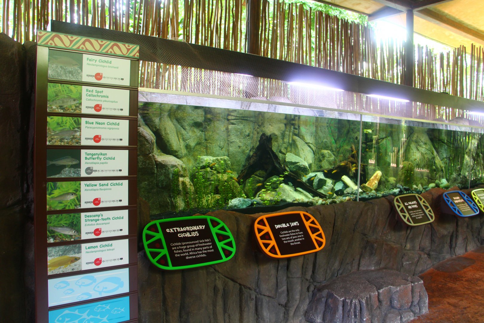 Lake Tanganyika exhibit