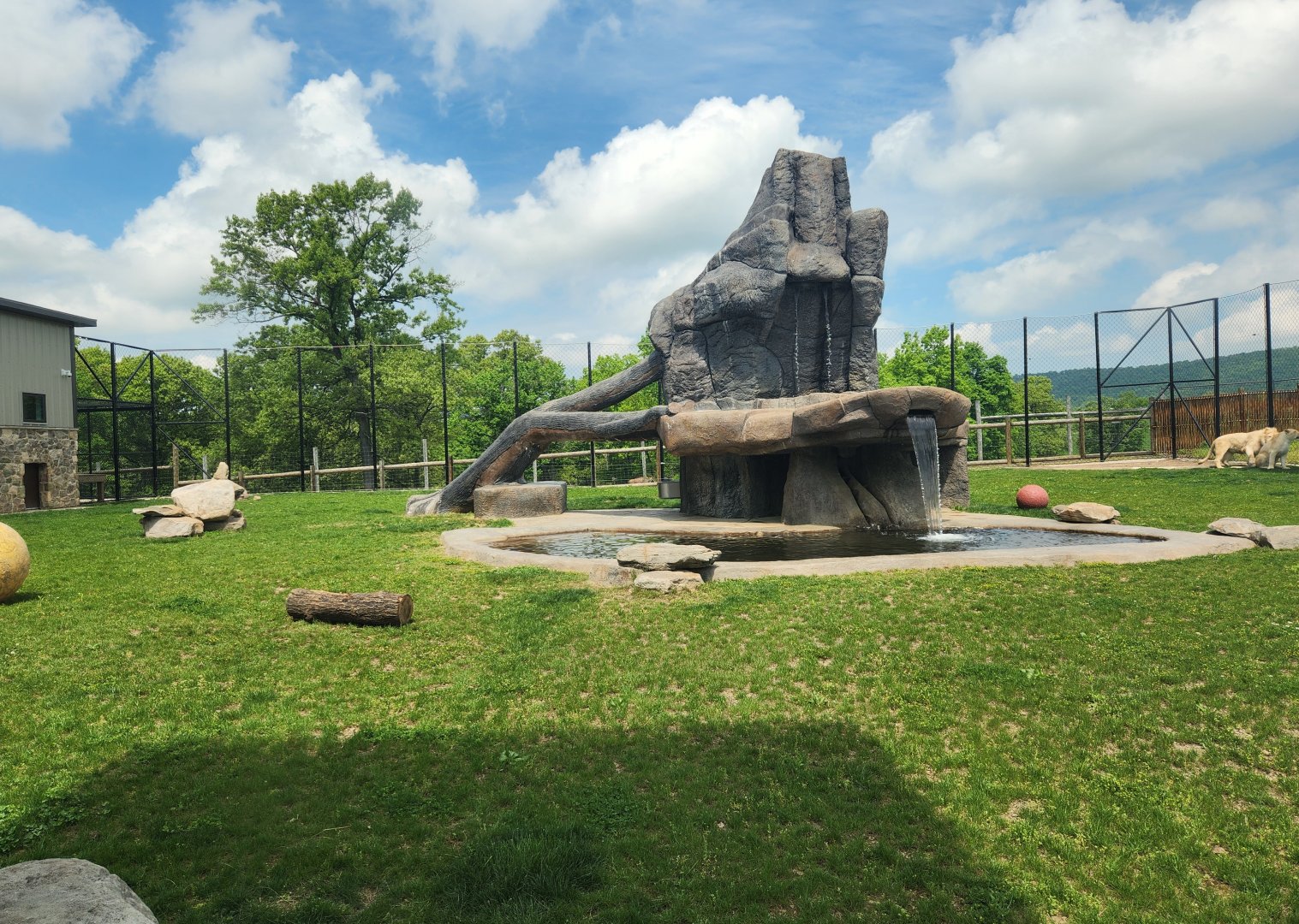 Lake Tobias Wildlife Park - Lion enclosure