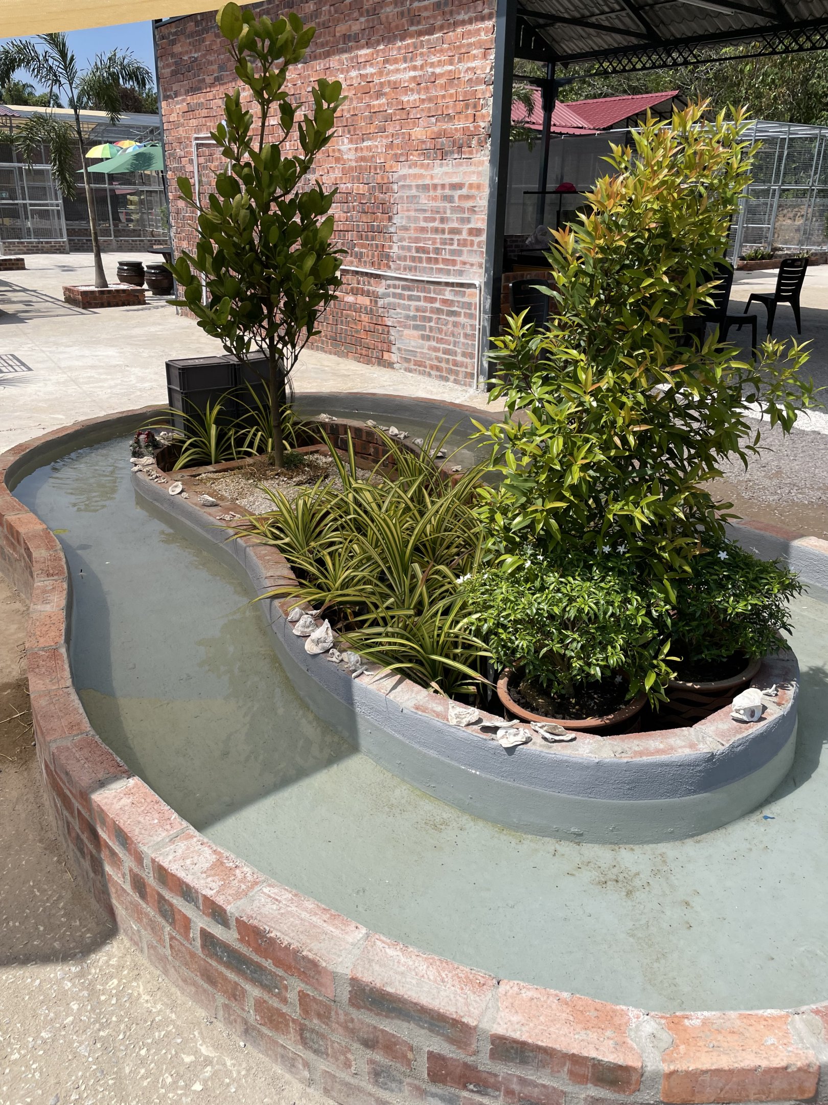 Lake under construction (plans to exhibit turtles and fishes)