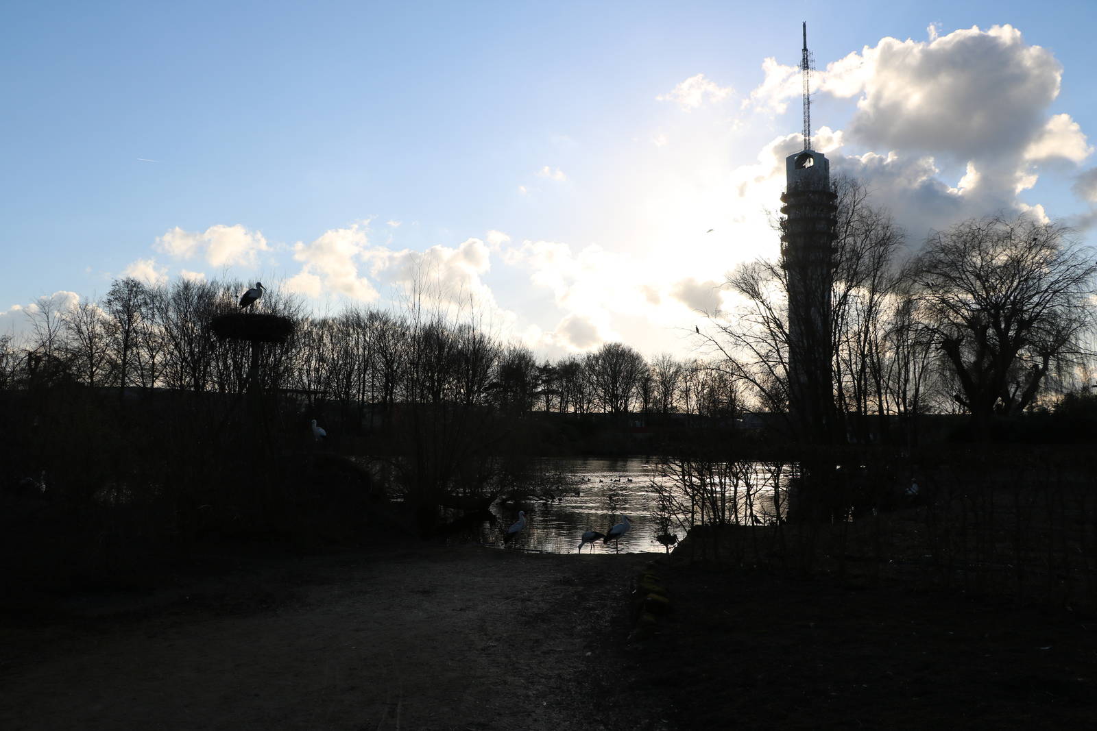 Lake view, February 2016