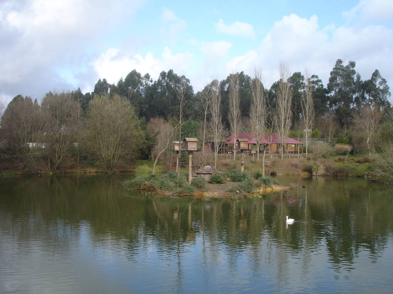 Lake Viewing at Zoo Santo Inacio, 30/12/12