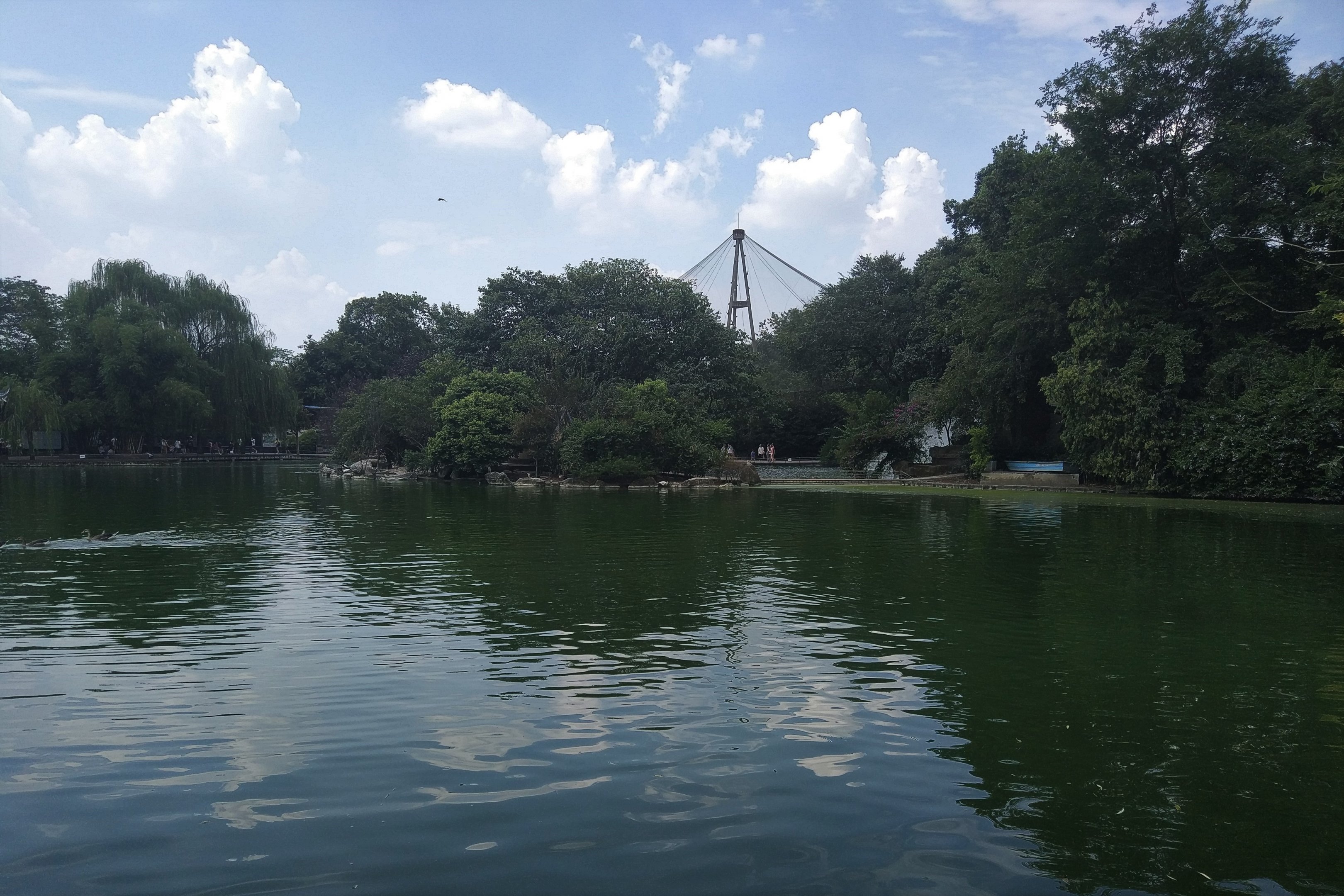 Lake with Aviary Backdrop