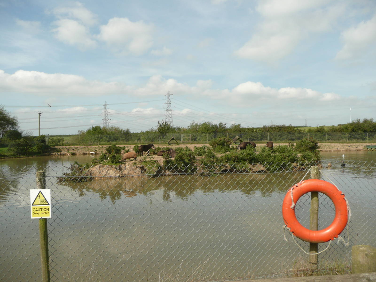 Lake with island for tapir , capybara and waterfowl