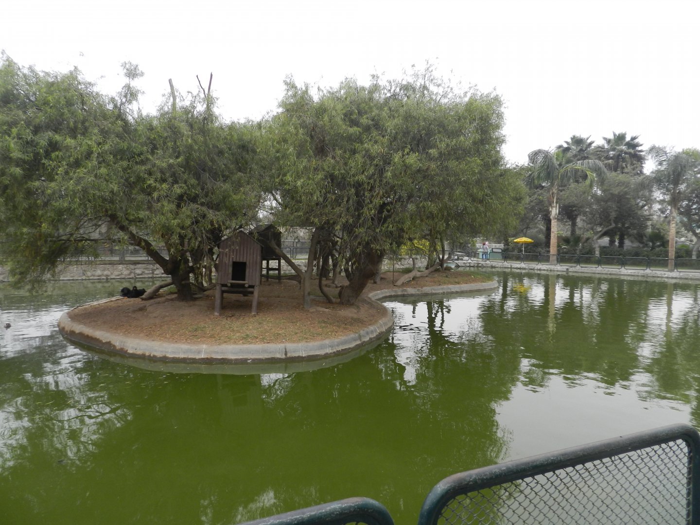 Lake with islands - Parque Zoológico Huachipa