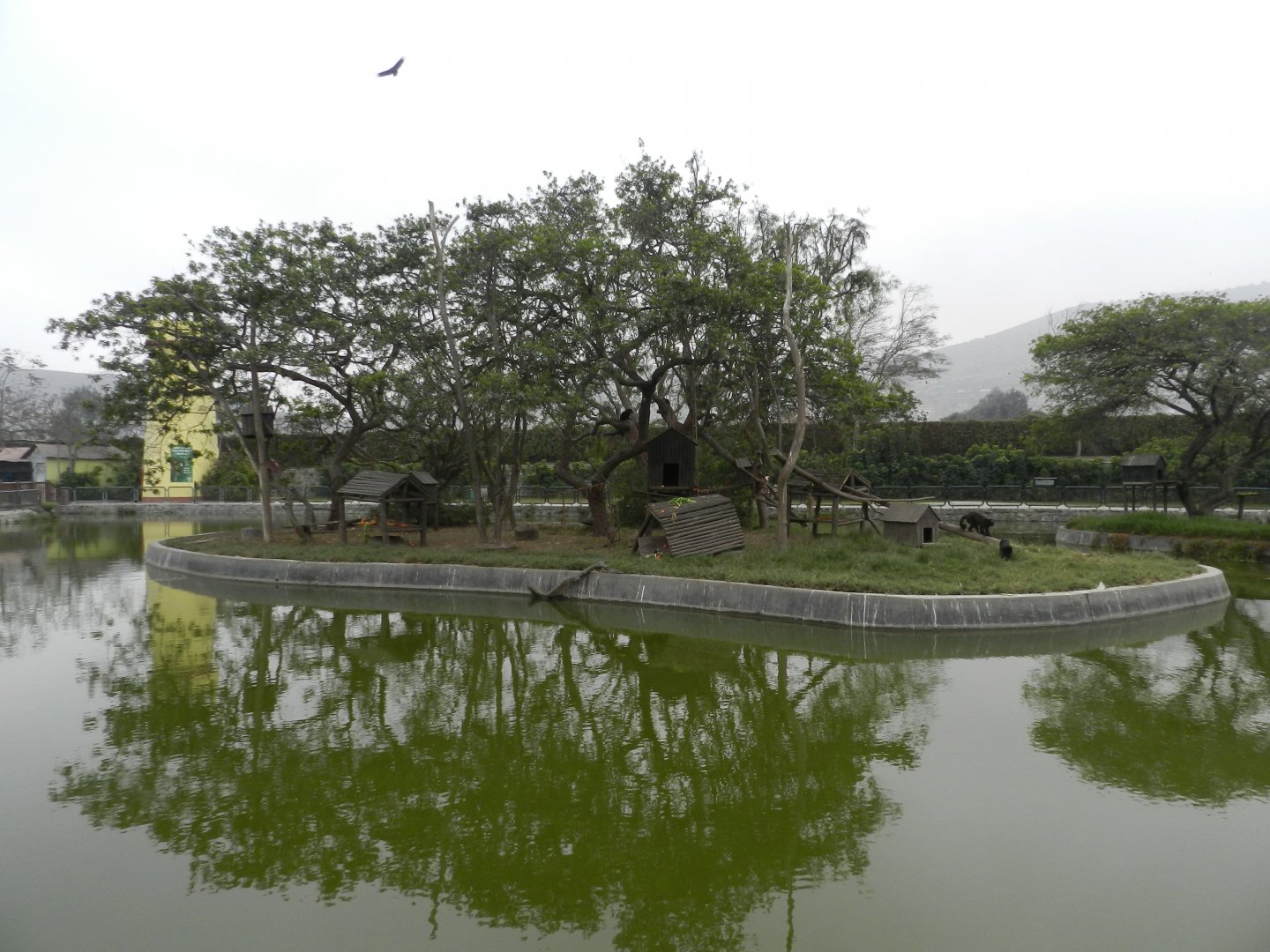 Lake with islands - Parque Zoológico Huachipa