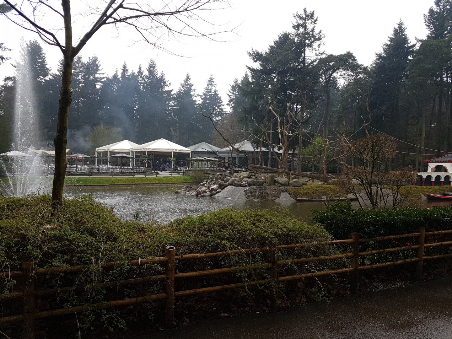 Lake with Japanese macaque-island