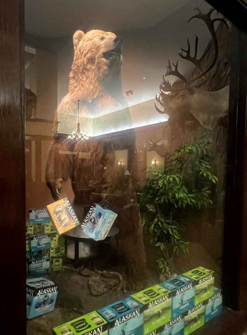 Lakefront Hotel Anchorage - Brown Bear Display