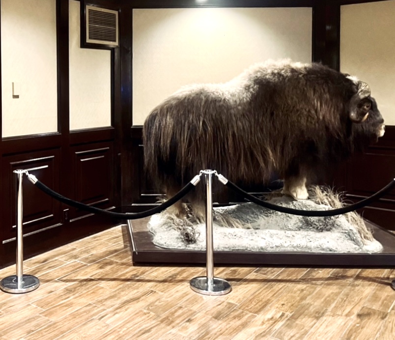 Lakefront Hotel Anchorage - Muskox
