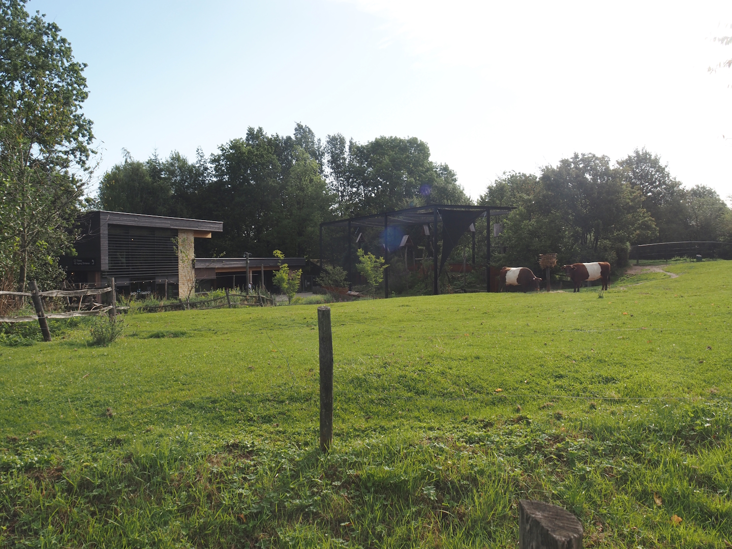 Lakenvelder cattle paddock, Entrance building and Limburg aviary with Black stork, Raven and Eurasian eagle owl, 2024-08-21