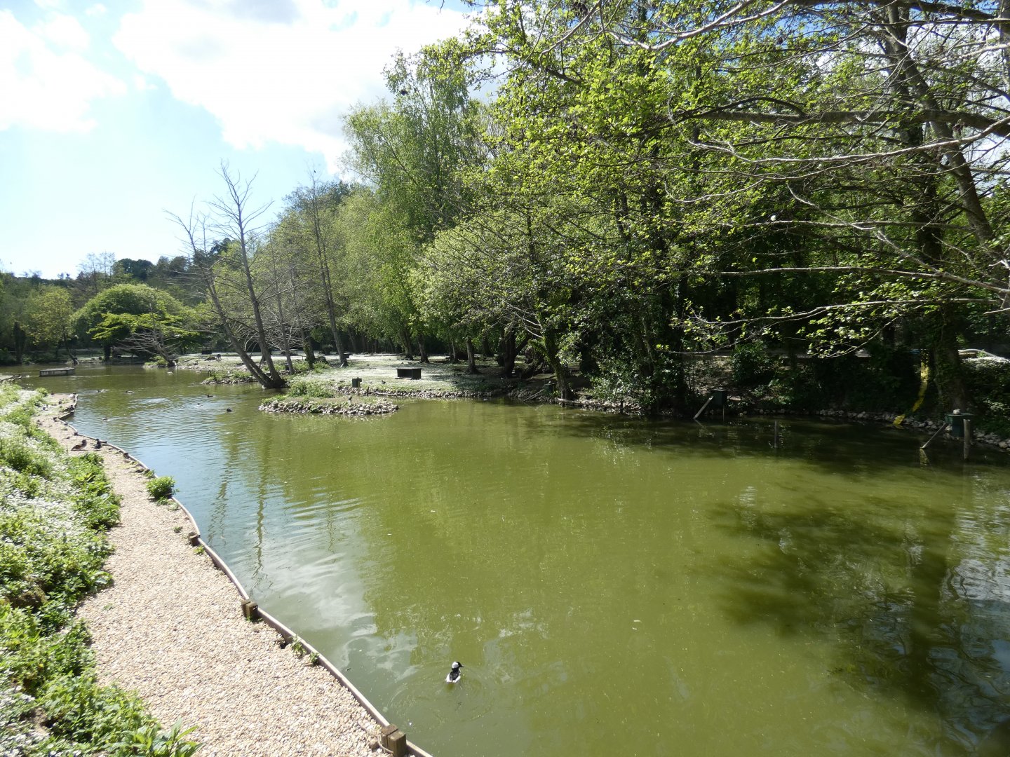 Lakes and Forest exhibit