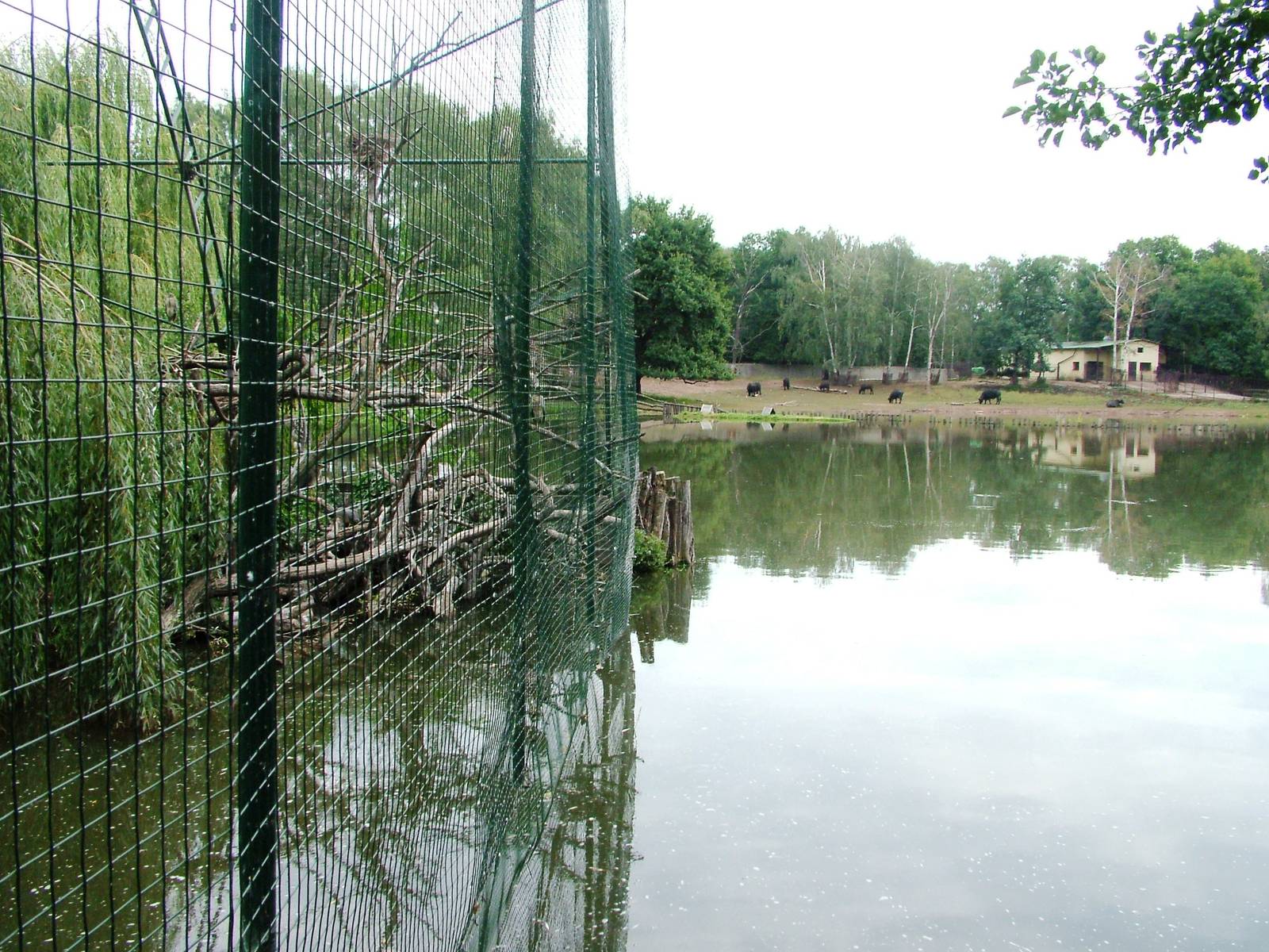 Lakeside Aviary at Chomutov, 30/08/12