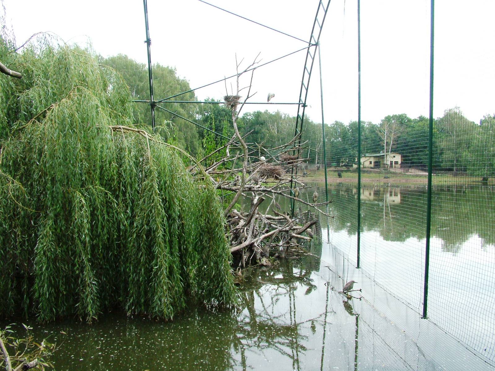Lakeside Aviary at Chomutov, 30/08/12