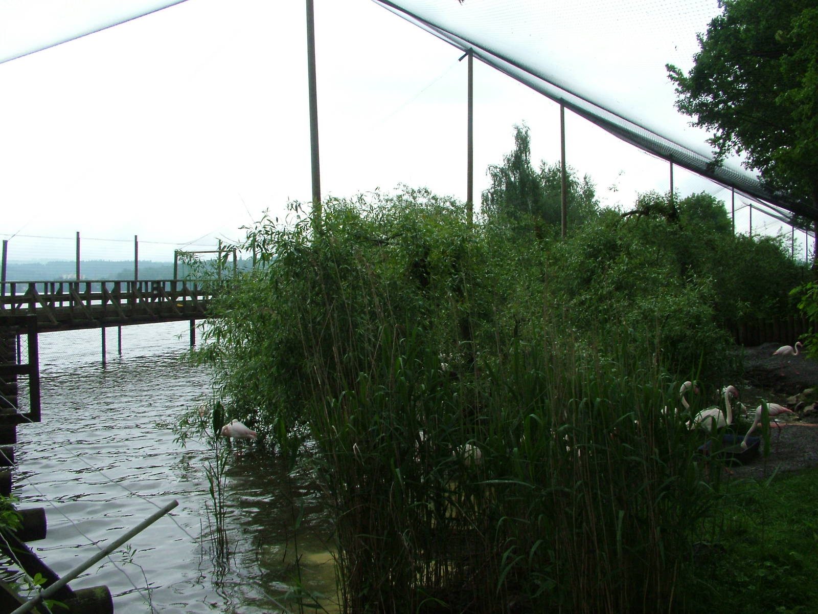Lakeside aviary at Ohrada, 26/05/10