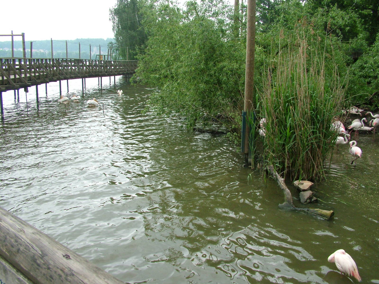 Lakeside aviary at Ohrada, 26/05/10