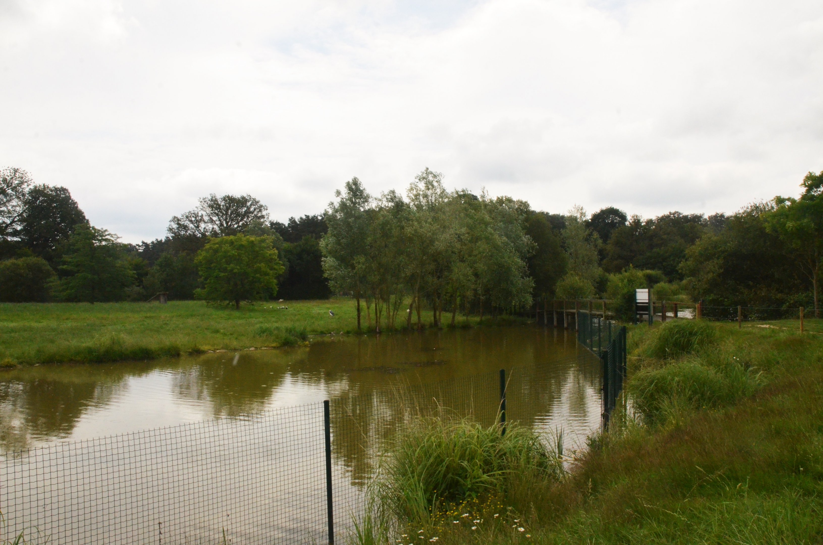 Lakeside Bird and Lechwe Enclosure at Haute-Touche, 14/06/18