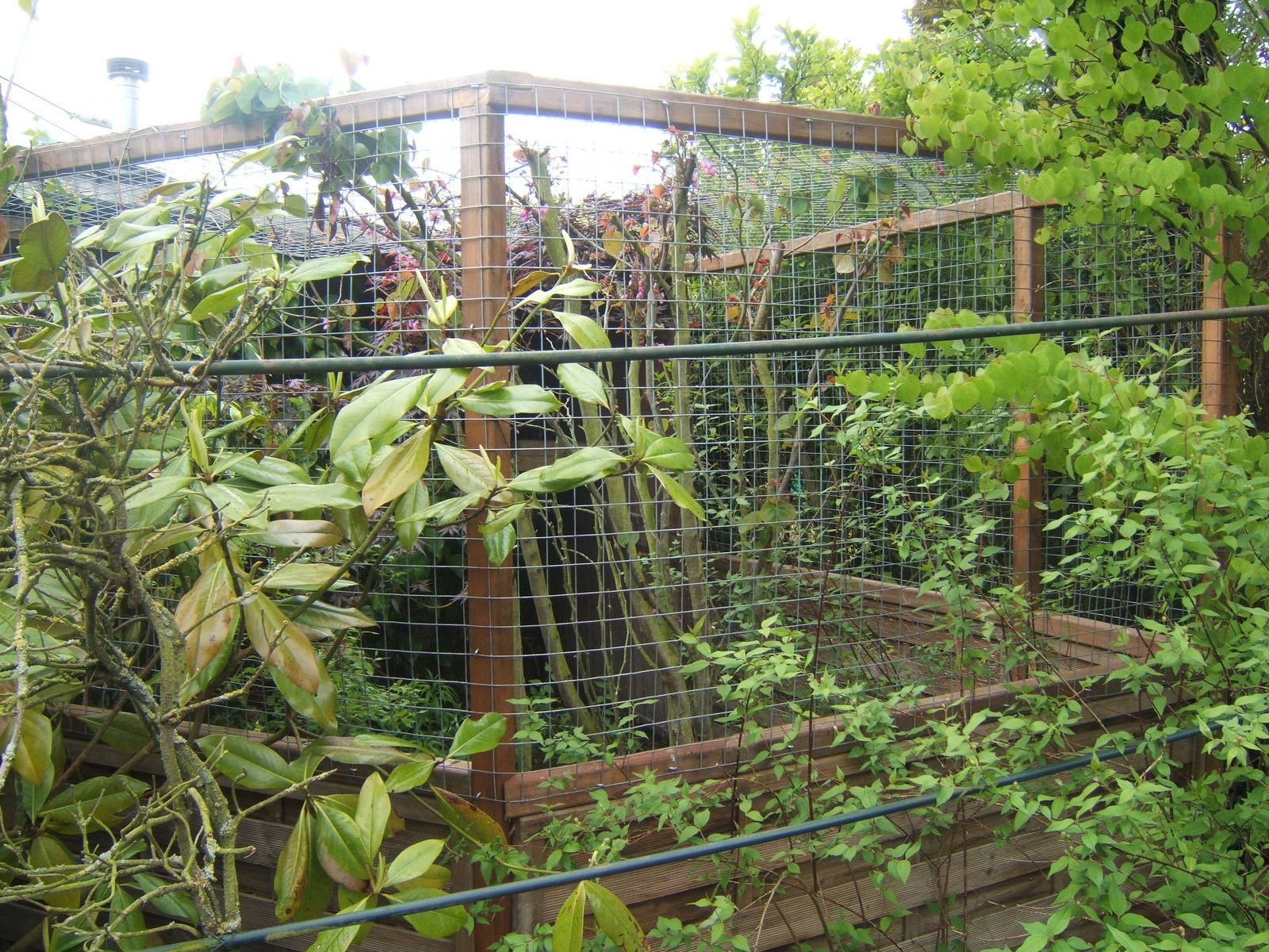 Lakeside Bird of Prey Centre.Barn Owl Aviary and the only Aviary on site