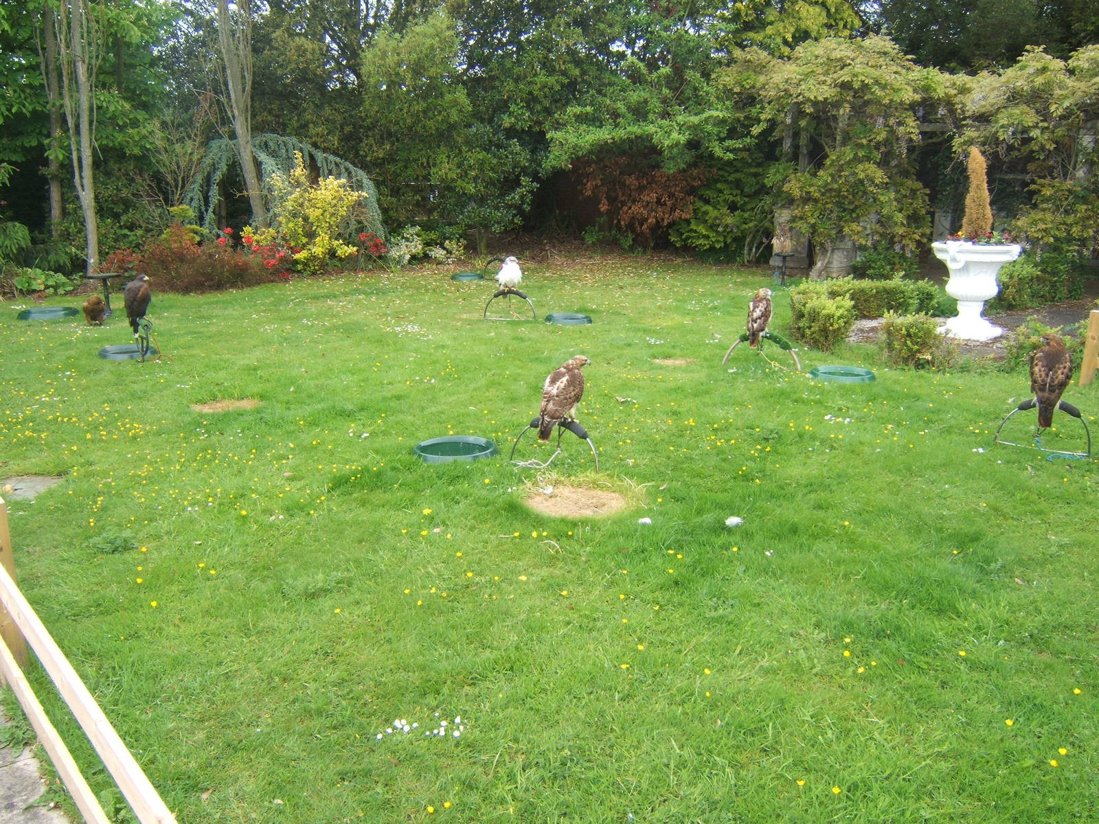 Lakeside Bird of Prey Centre.View