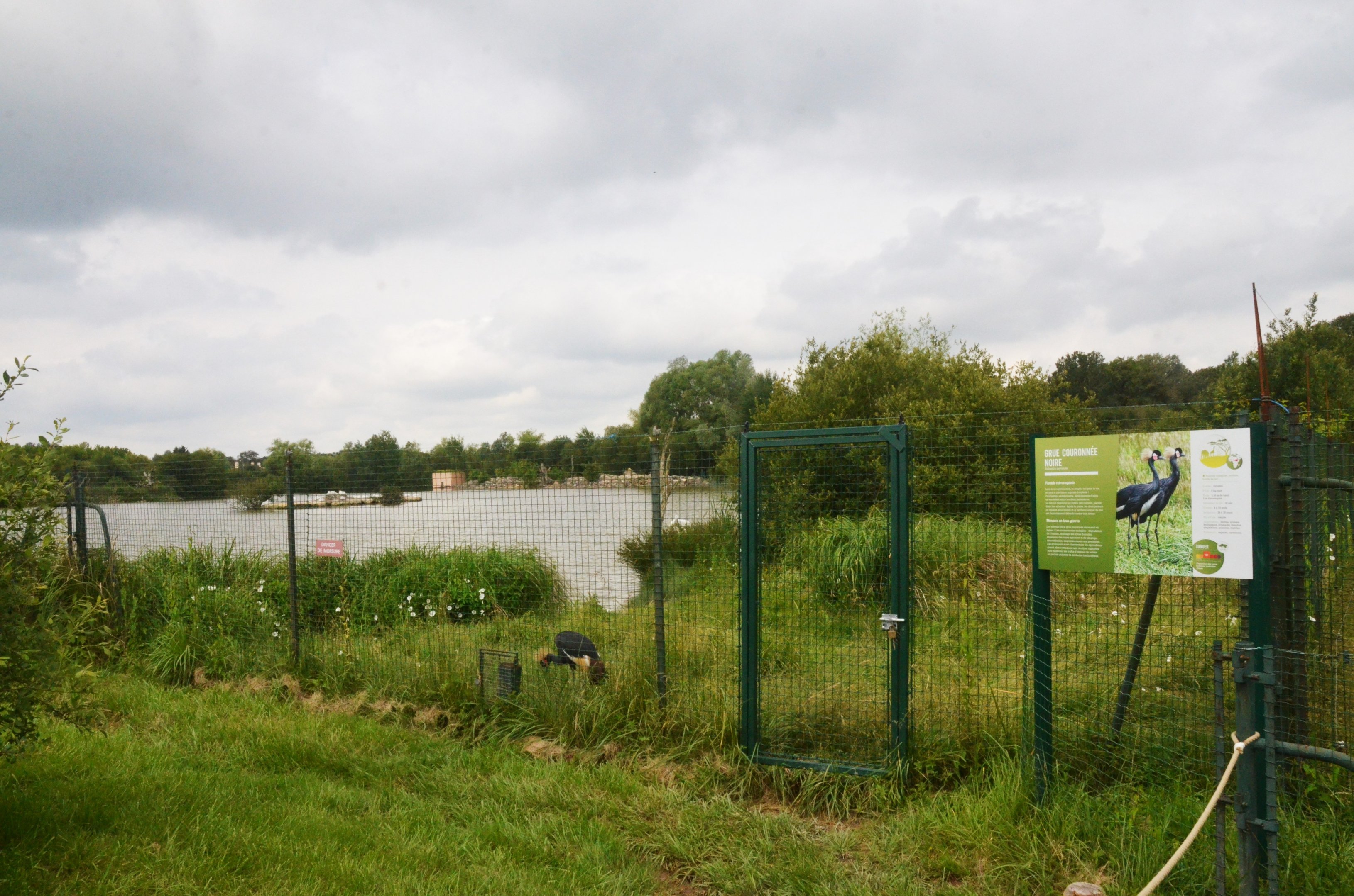 Lakeside Crane Enclosure at Haute-Touche, 14/06/18