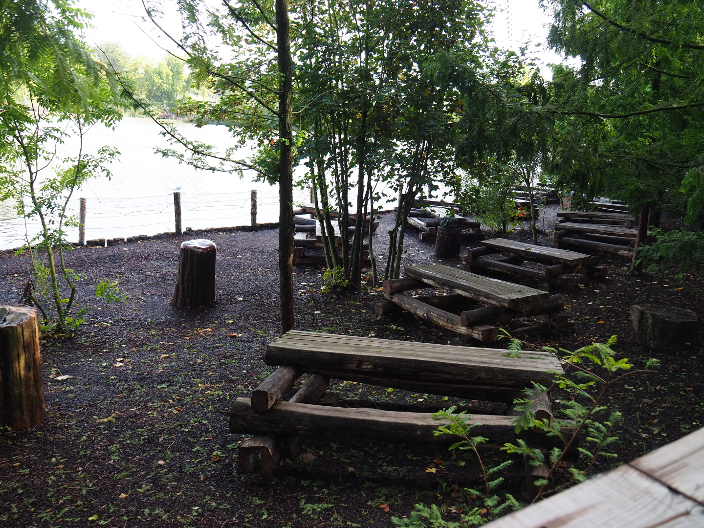 Lakeside picnic area, 2019-10-04