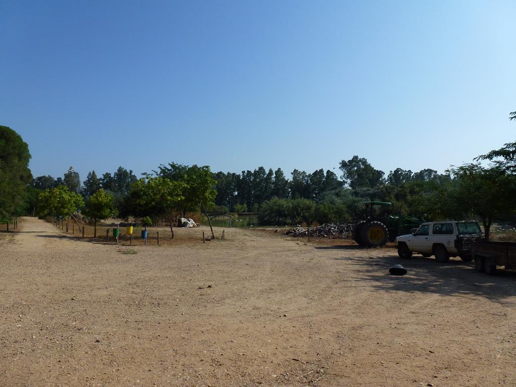 Lakeside tracks, July 2013.