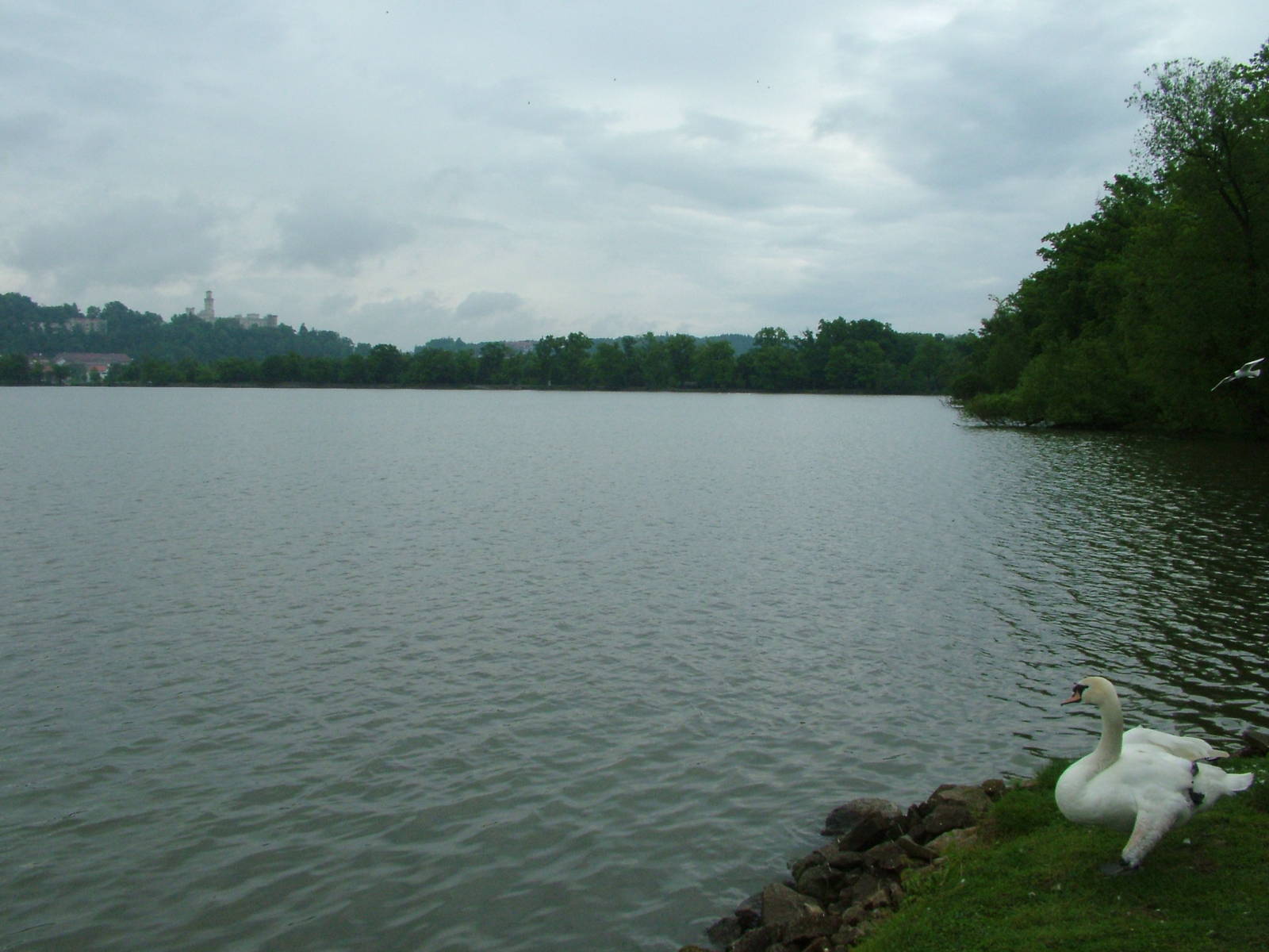Lakeside view at Ohrada, 26/05/10