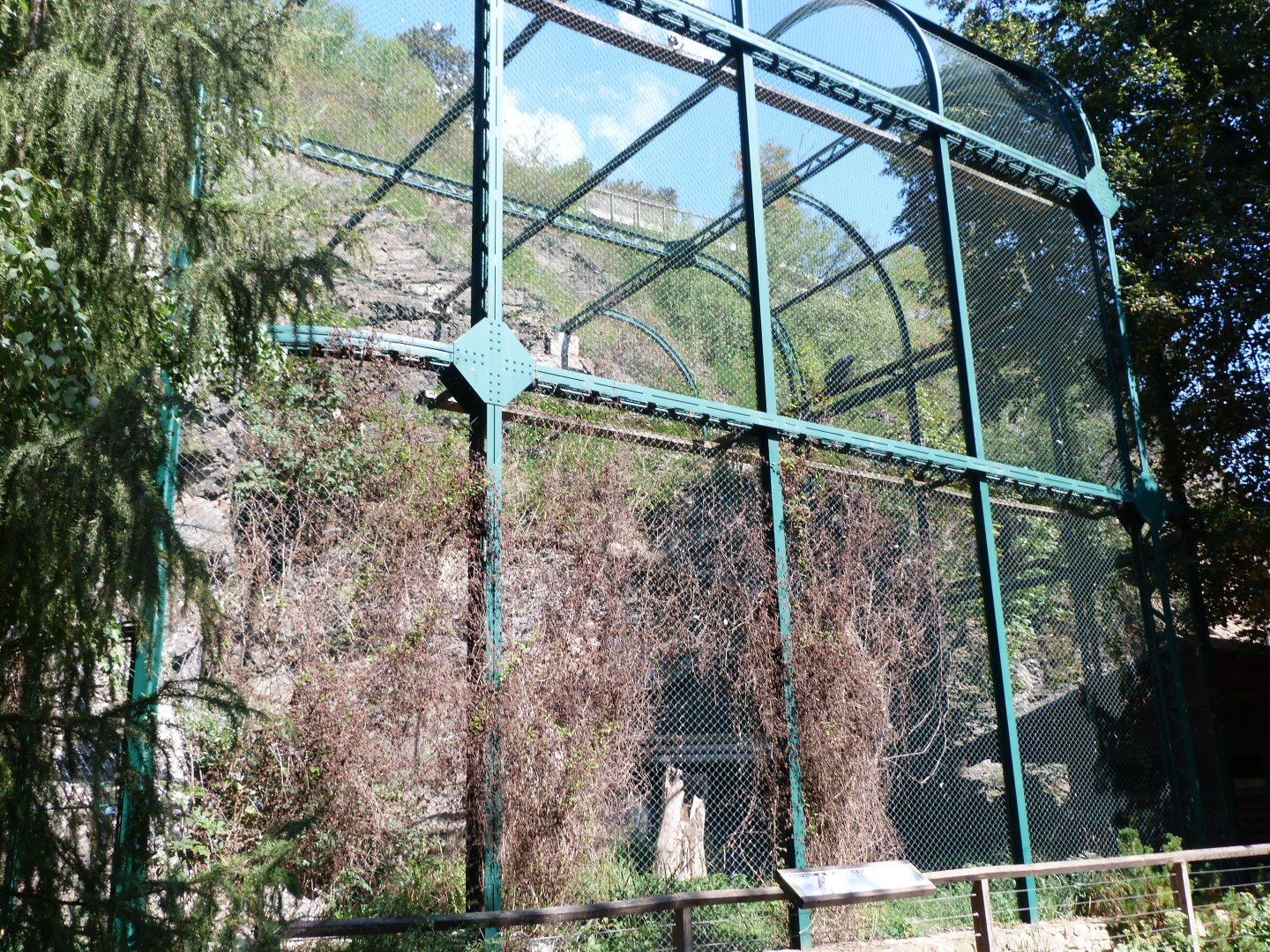 Lammergeier and Eastern Egyptian vulture exhibit -Zoo Praha (2025)