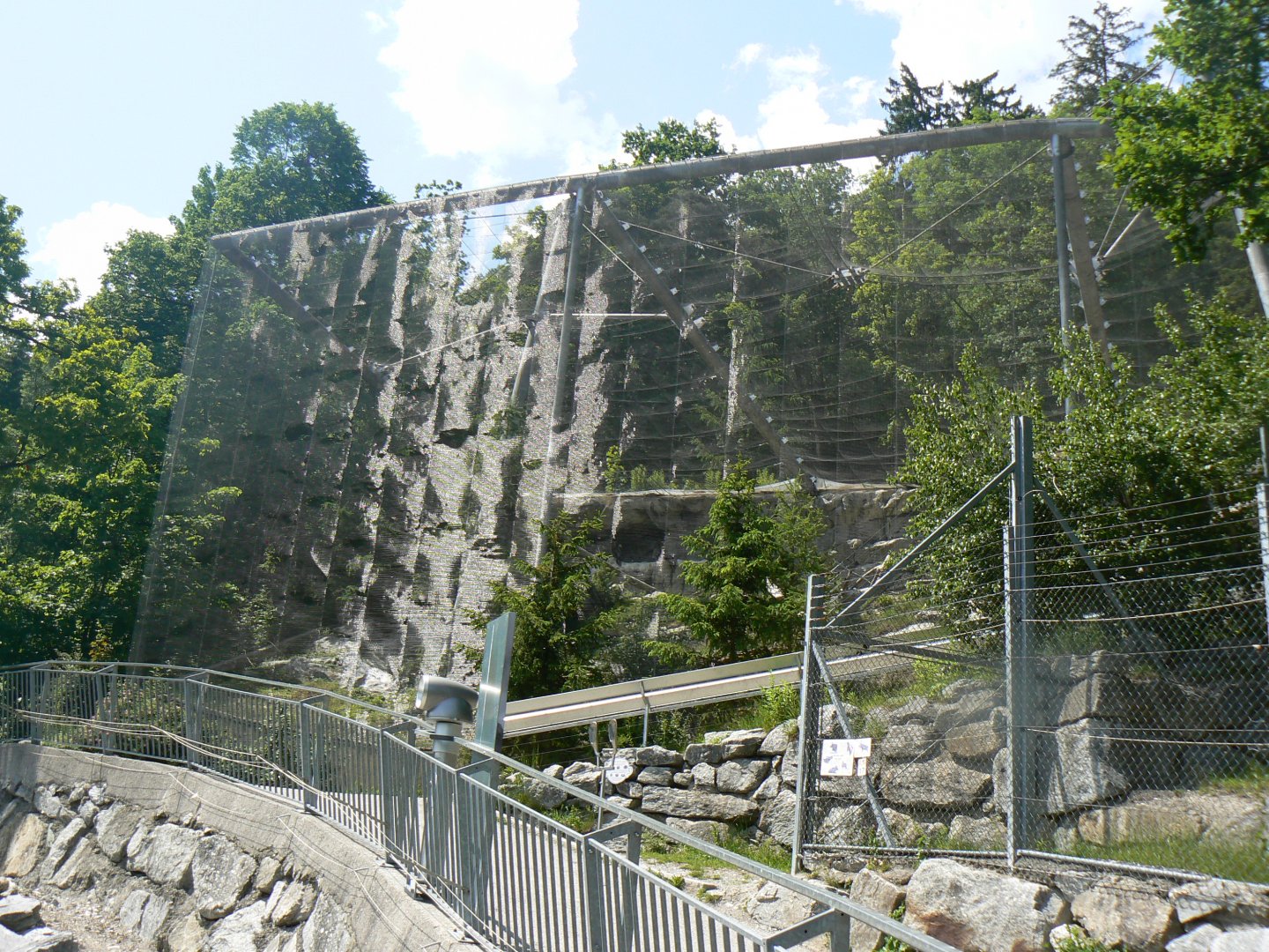 Lammergeier Aviary - 4 June 2019