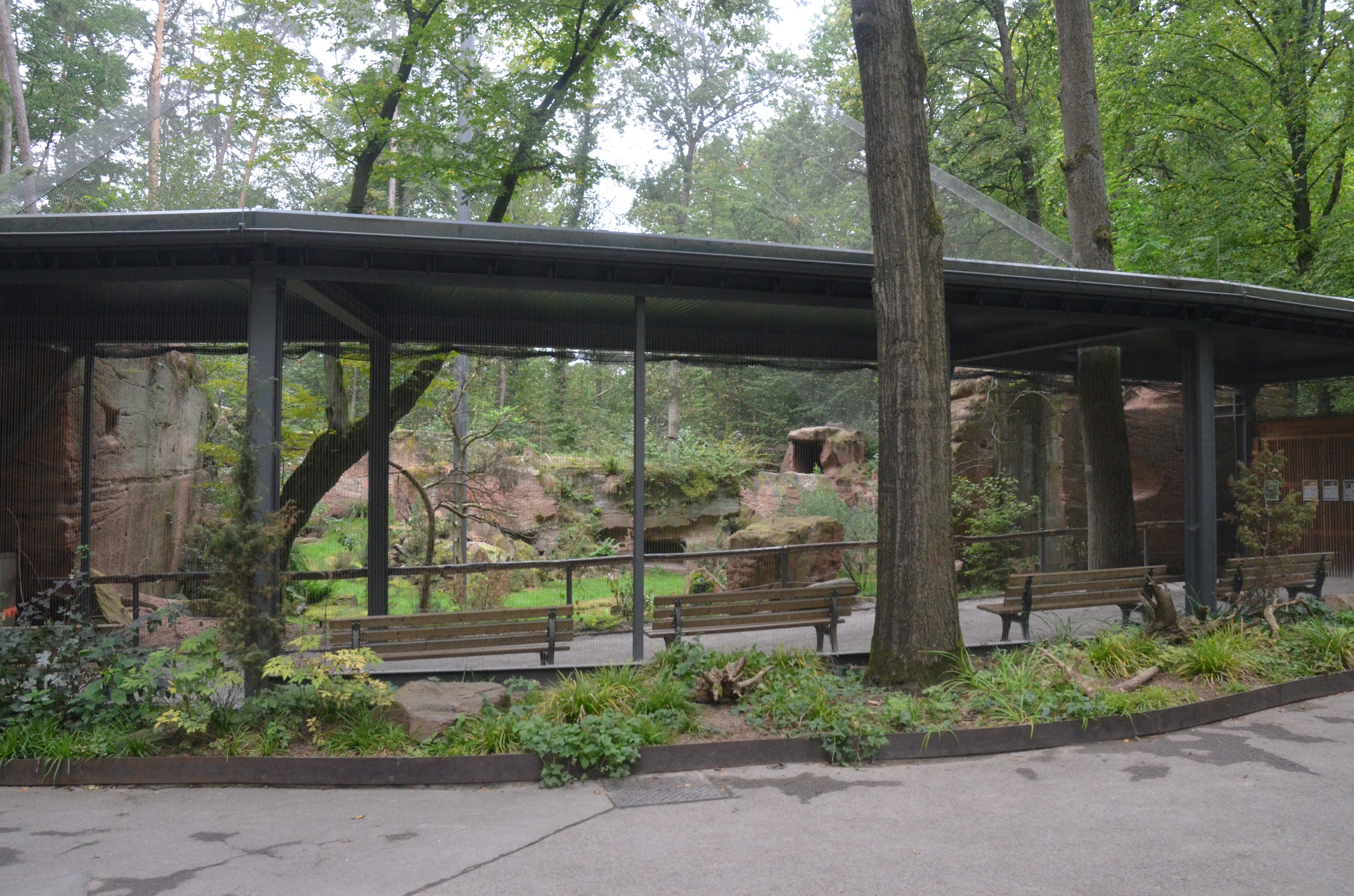 Lammergeier Aviary at Nuremberg, 08/09/19