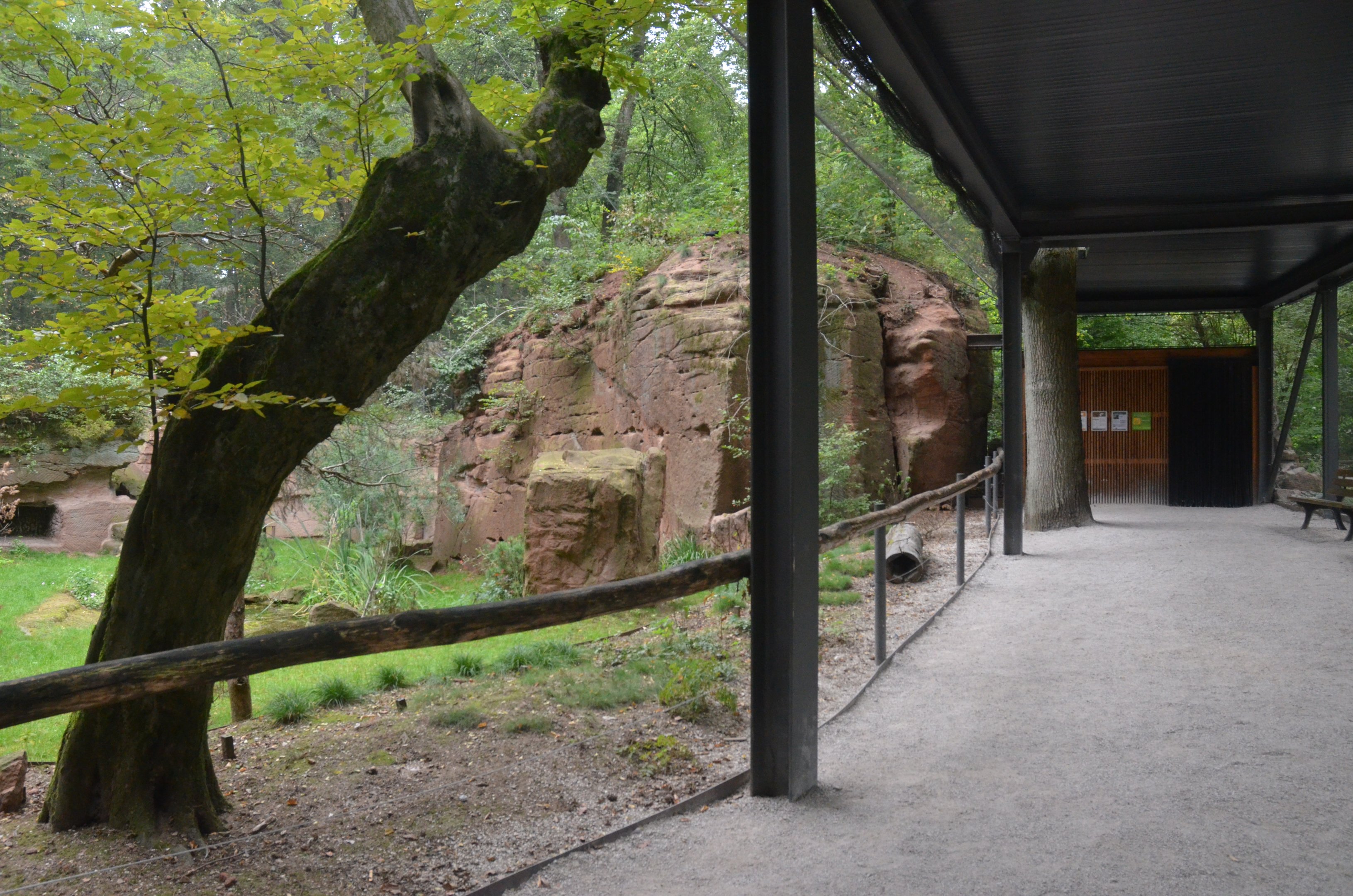 Lammergeier Aviary at Nuremberg, 08/09/19