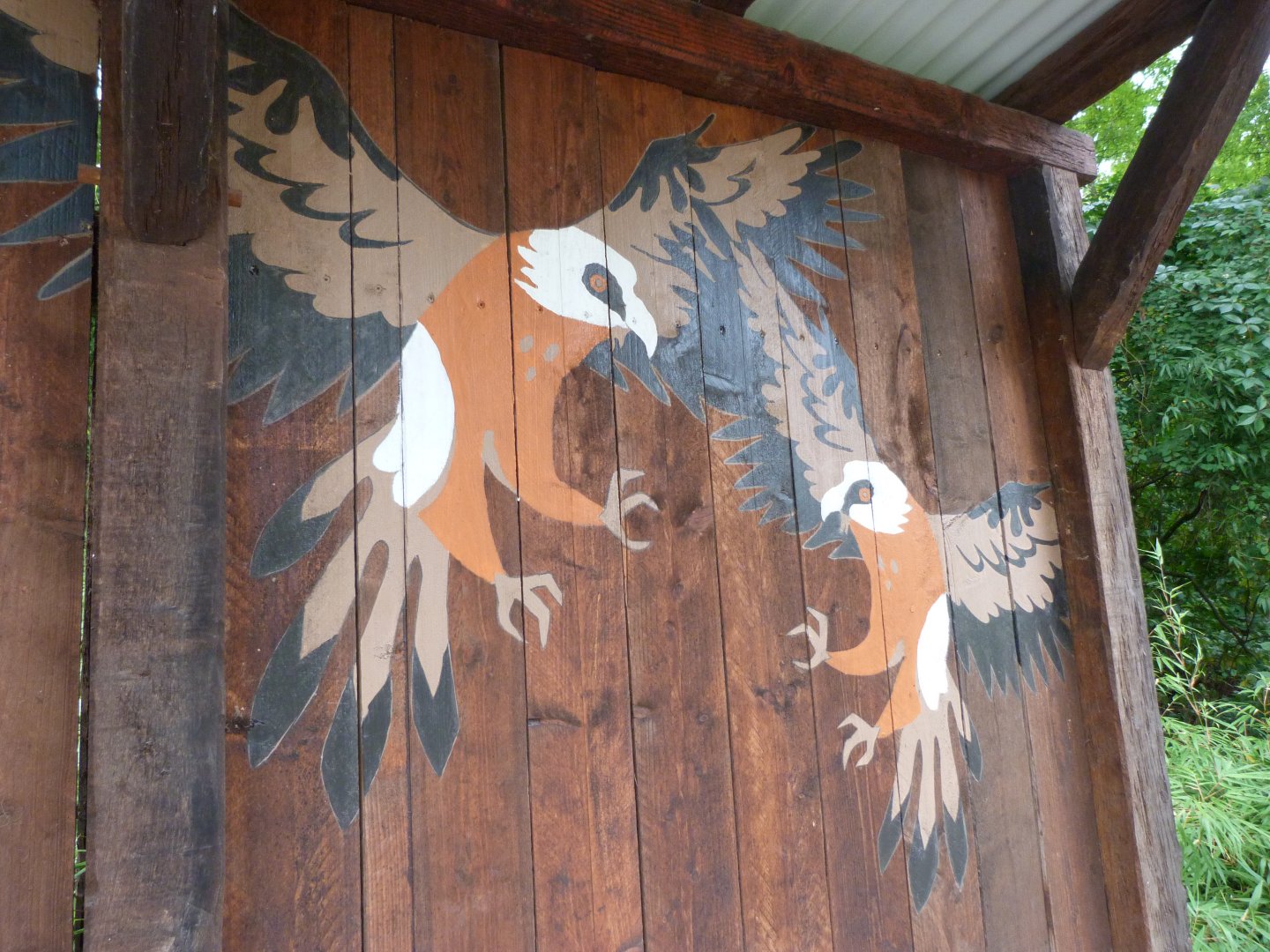 Lammergeier illustration -Tierpark Berlin (2024)