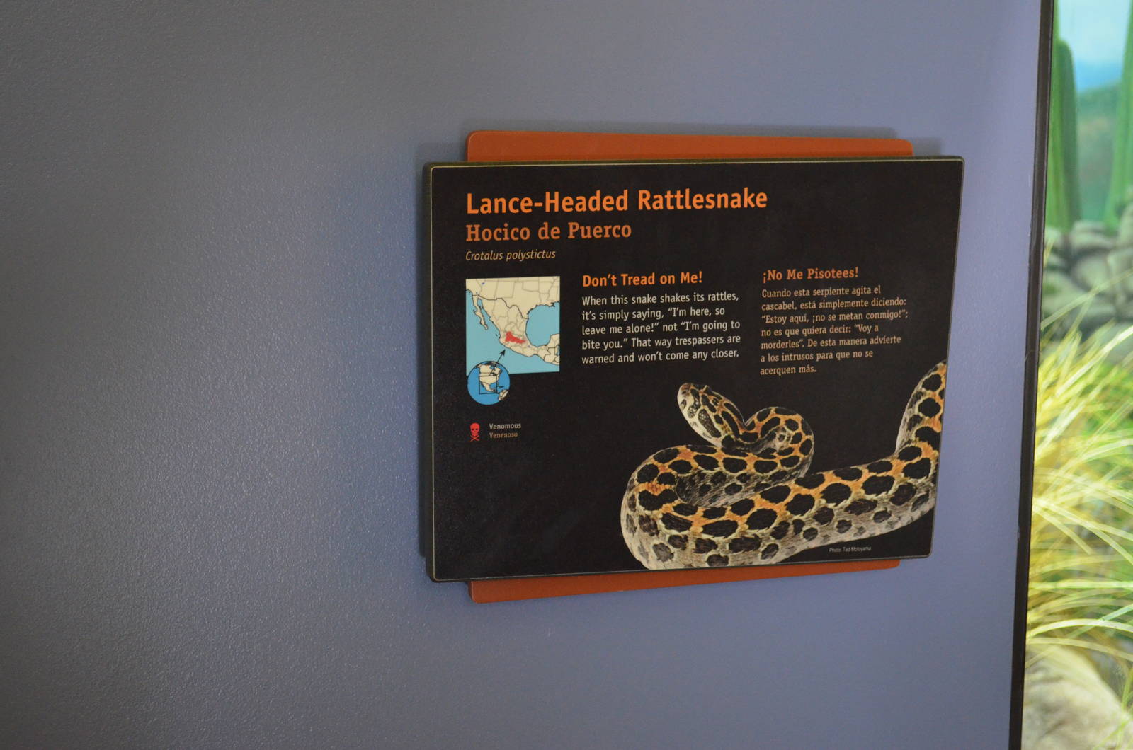 LANCE-HEADED RATTLESNAKE SIGNAGE