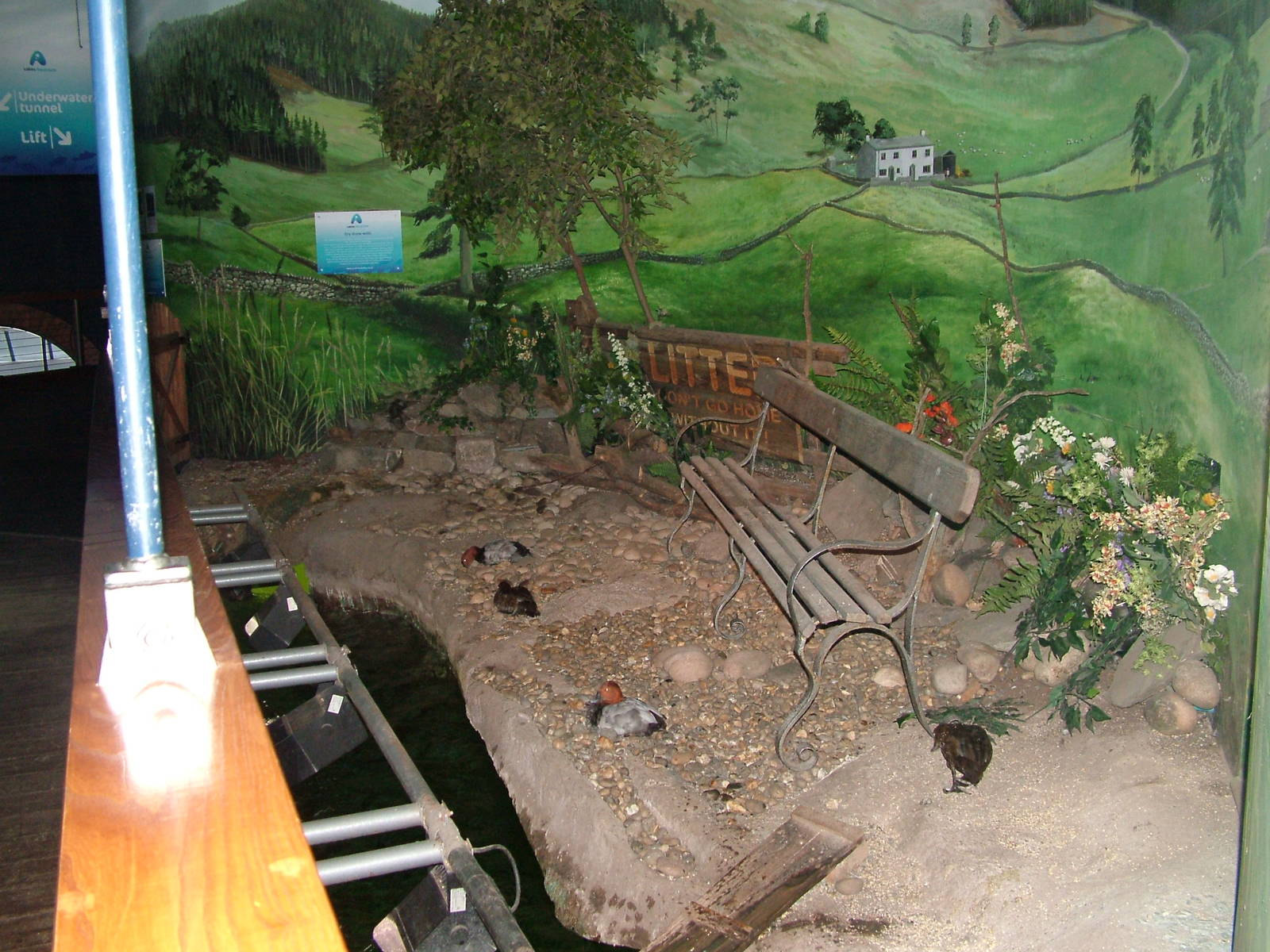 Land area for diving ducks at Lakes Aquarium 2008