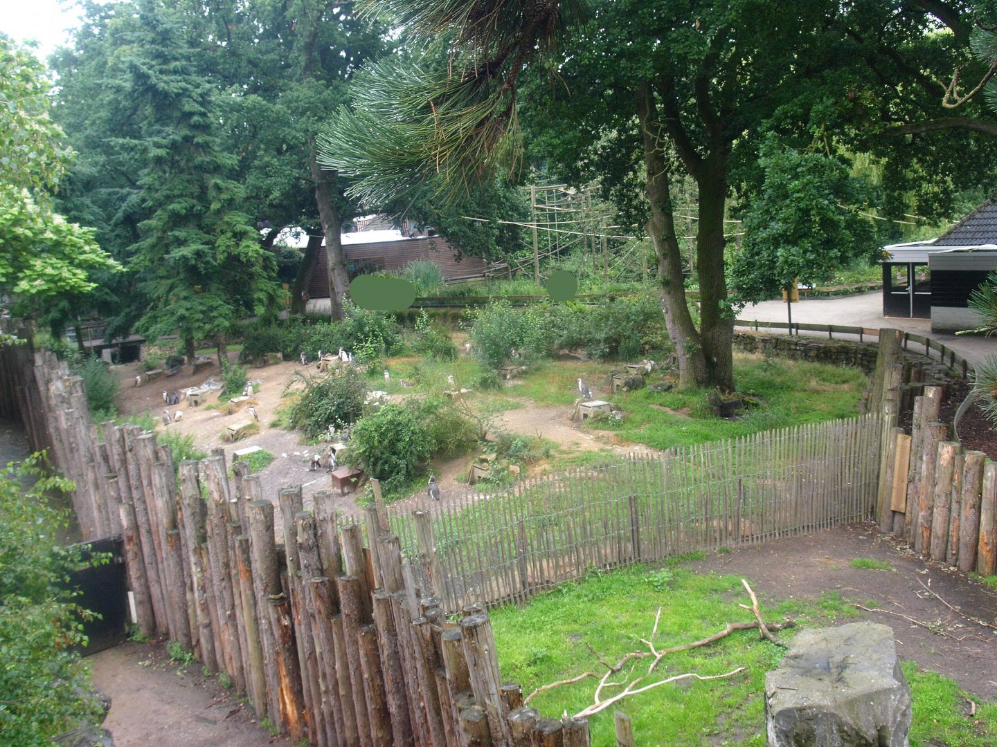 Land area of temporary Humboldt penguin exhibit, 2015-07-19