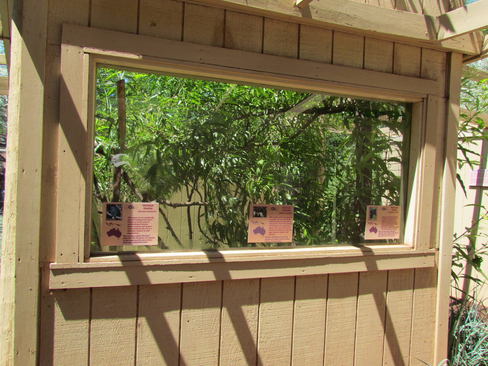 Land Down Under - Aviary