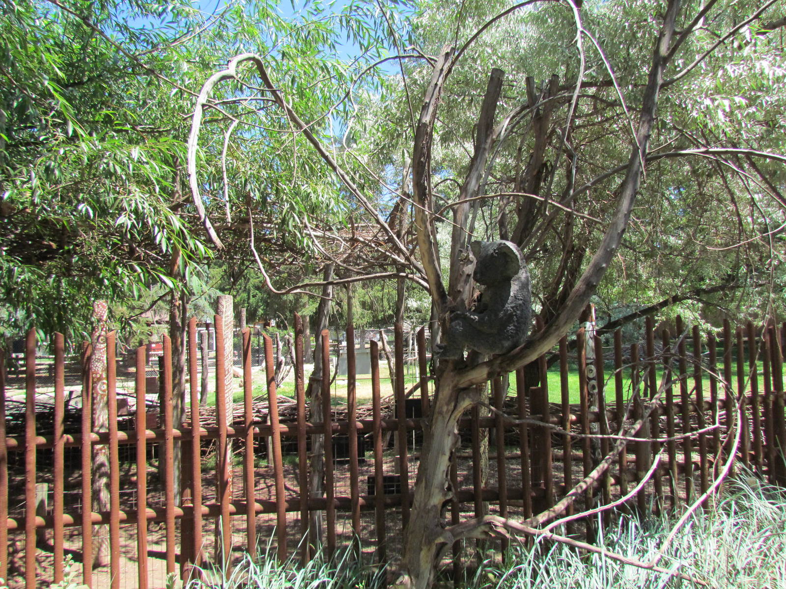 Land Down Under - Koala Statue