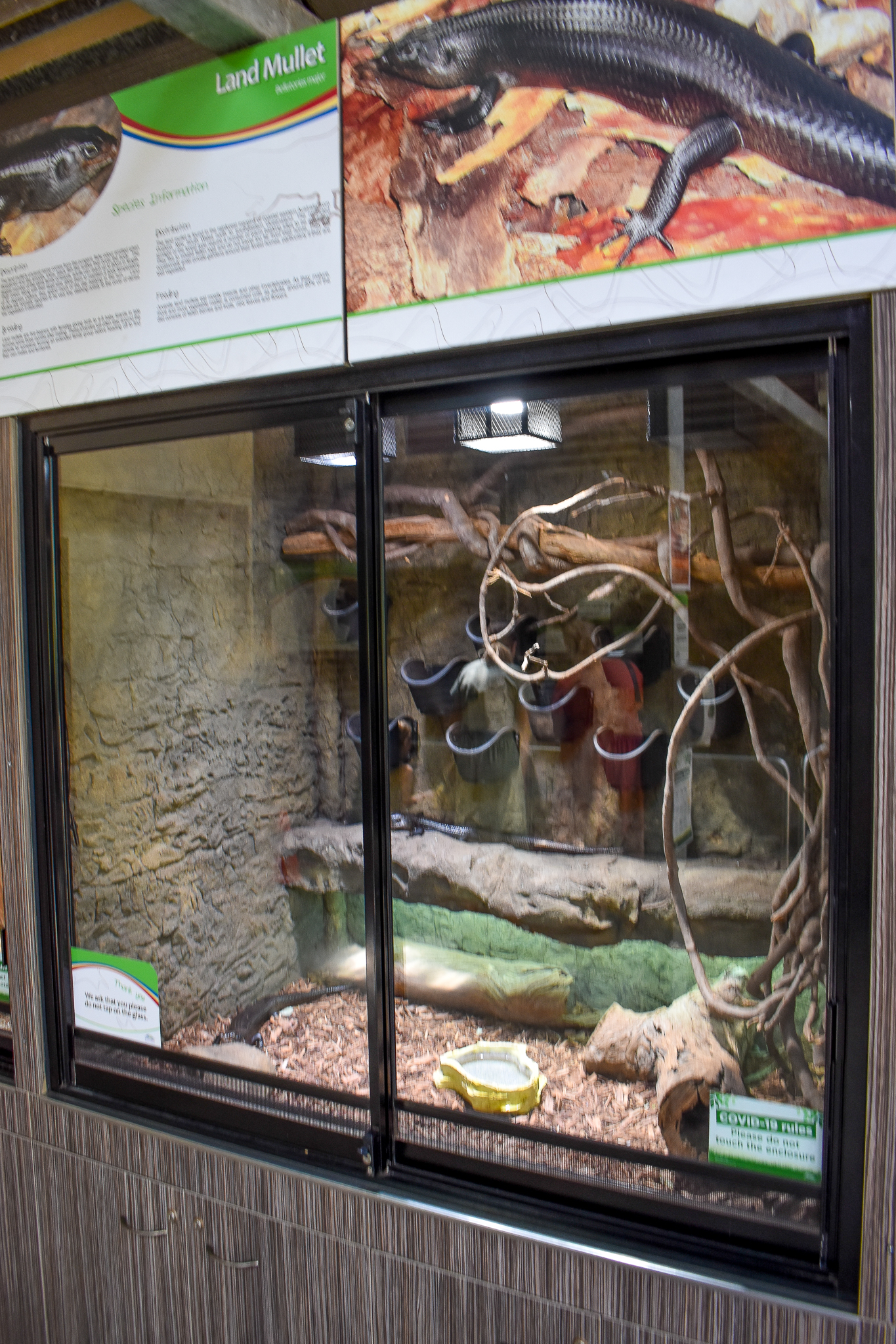 Land Mullet Enclosure