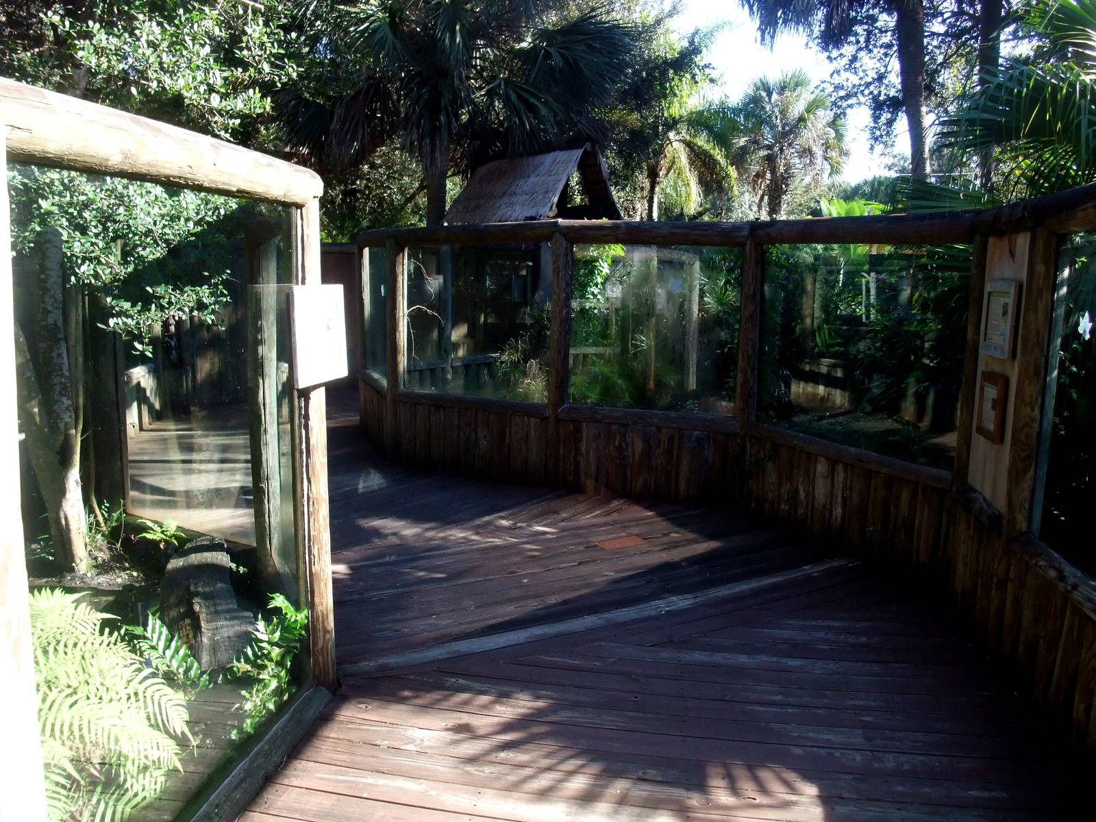 Land of Crocodiles at St. Augustine, 11/10/13