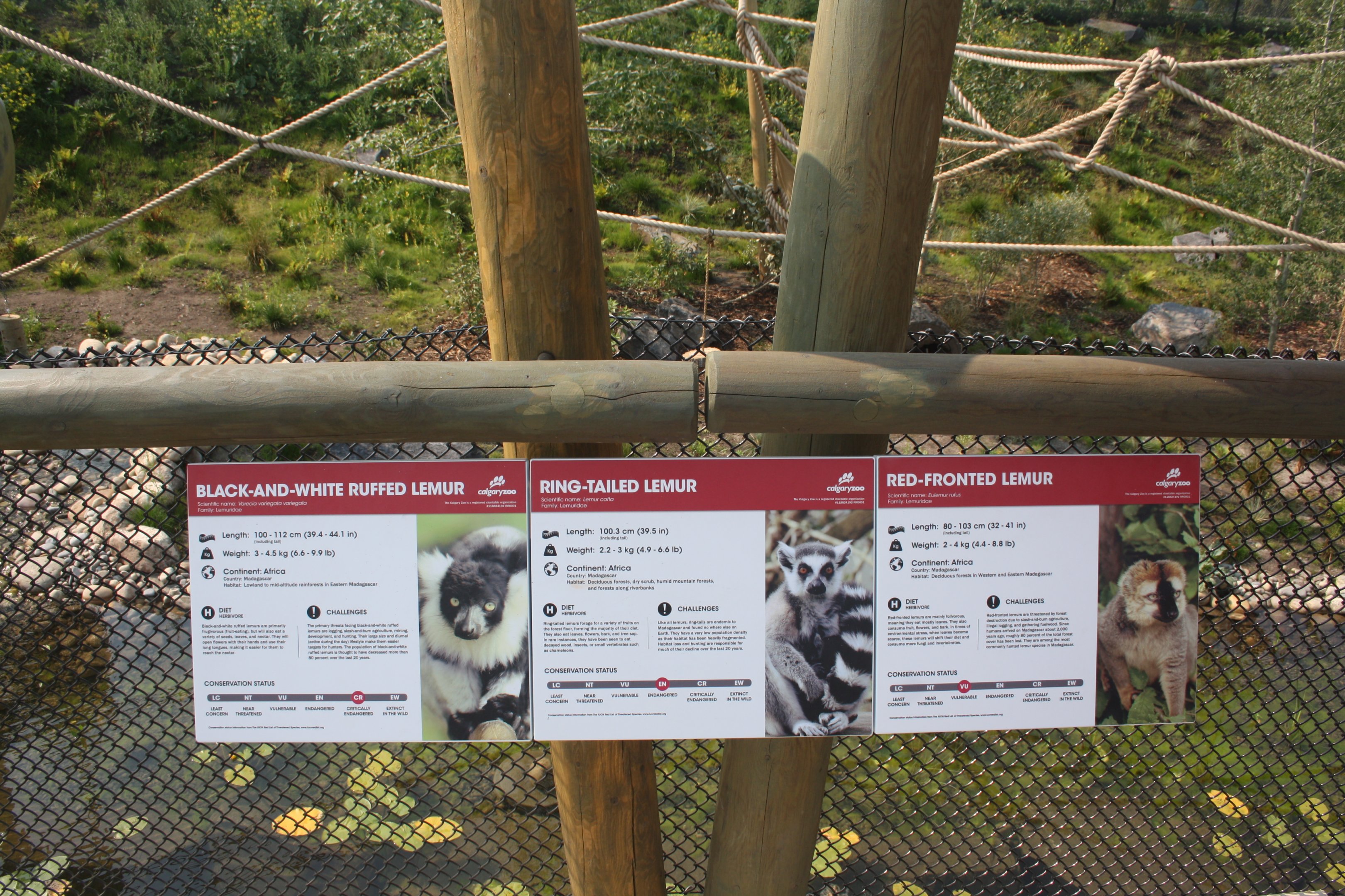 Land of Lemurs (New in 2017 and costing $8 million) - 3 Species