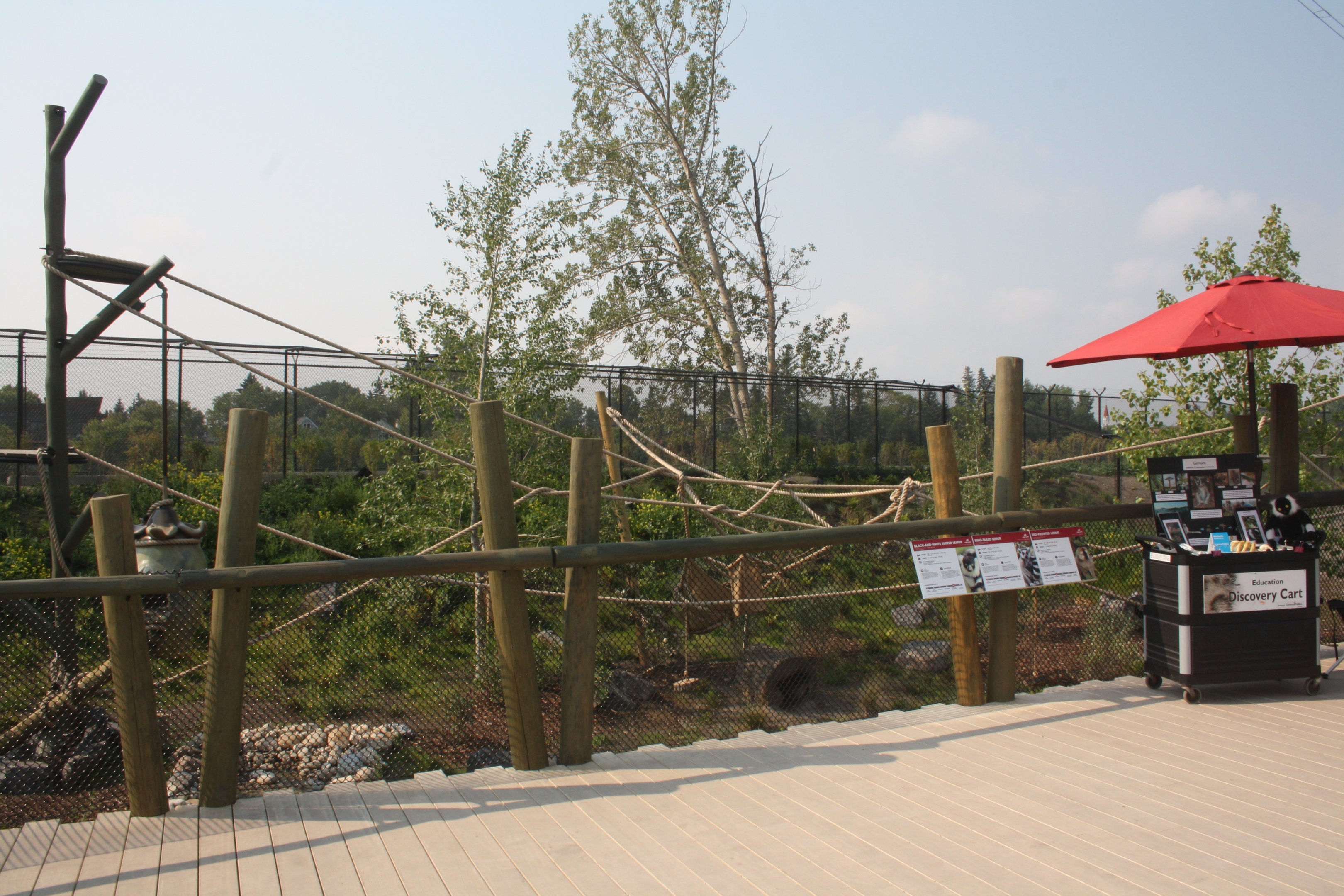 Land of Lemurs (New in 2017 and costing $8 million) - Exhibit #1