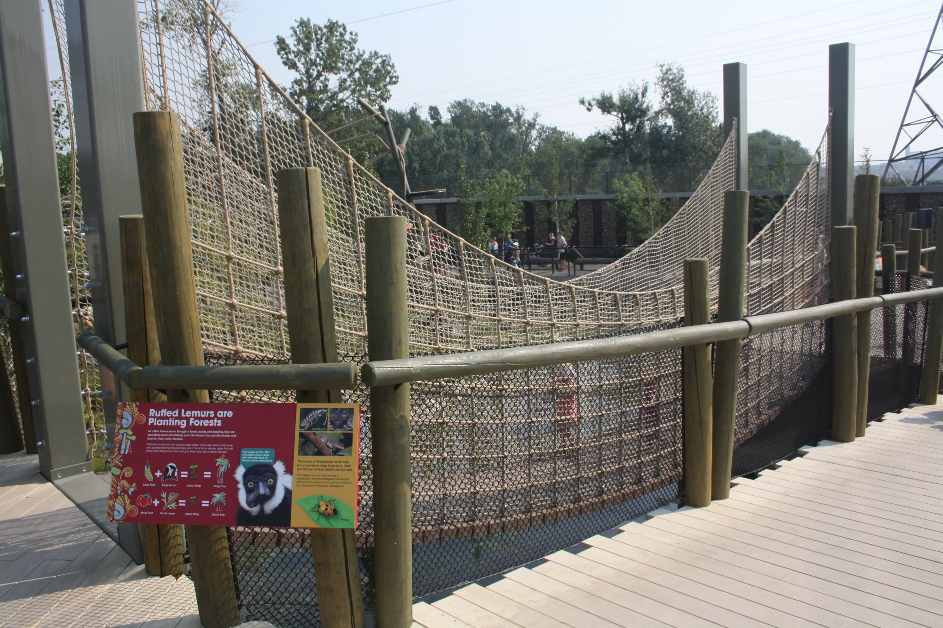 Land of Lemurs (New in 2017 and costing $8 million) - Kid-Friendly Mesh Bridge