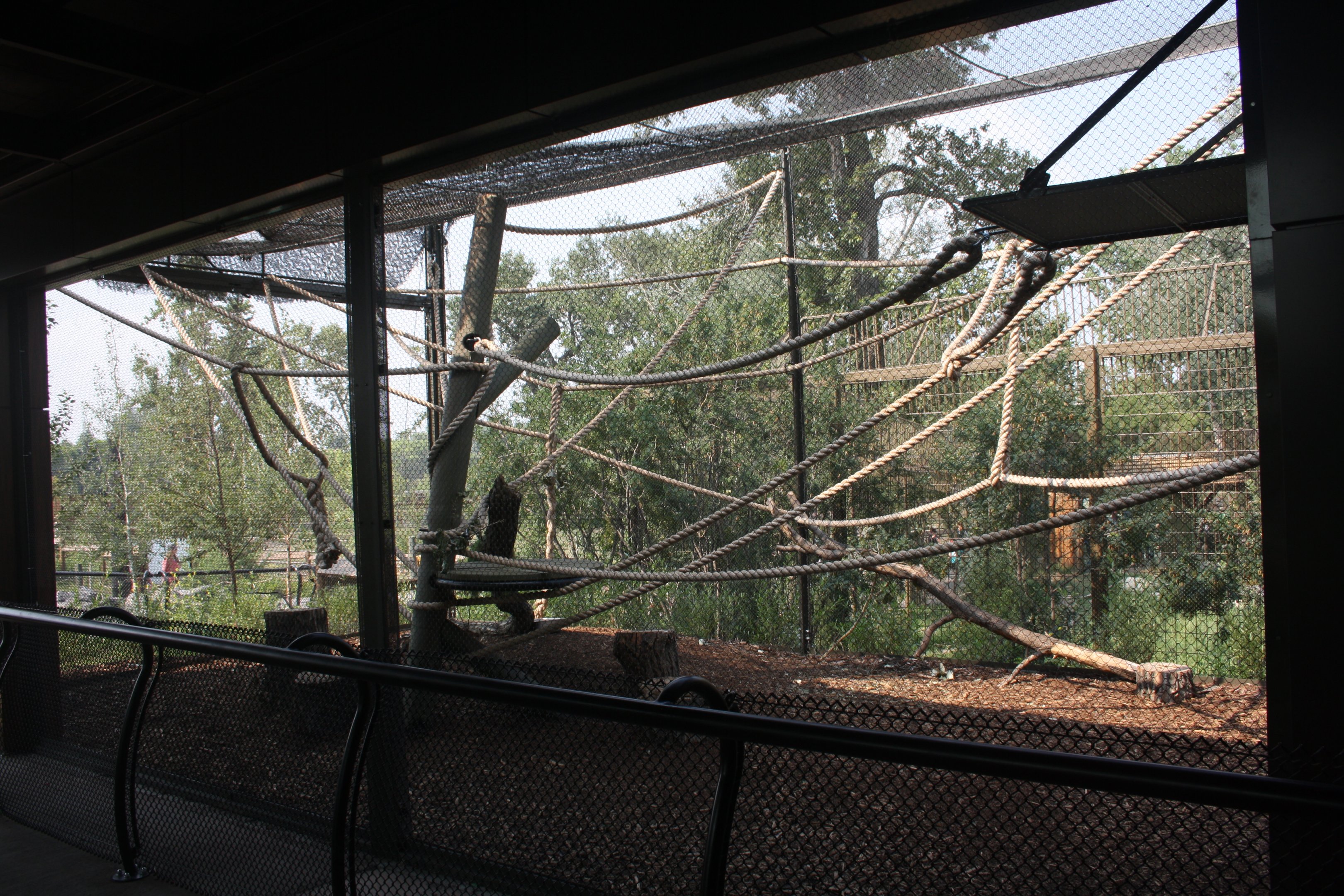 Land of Lemurs (New in 2017 and costing $8 million) - Side Exhibit