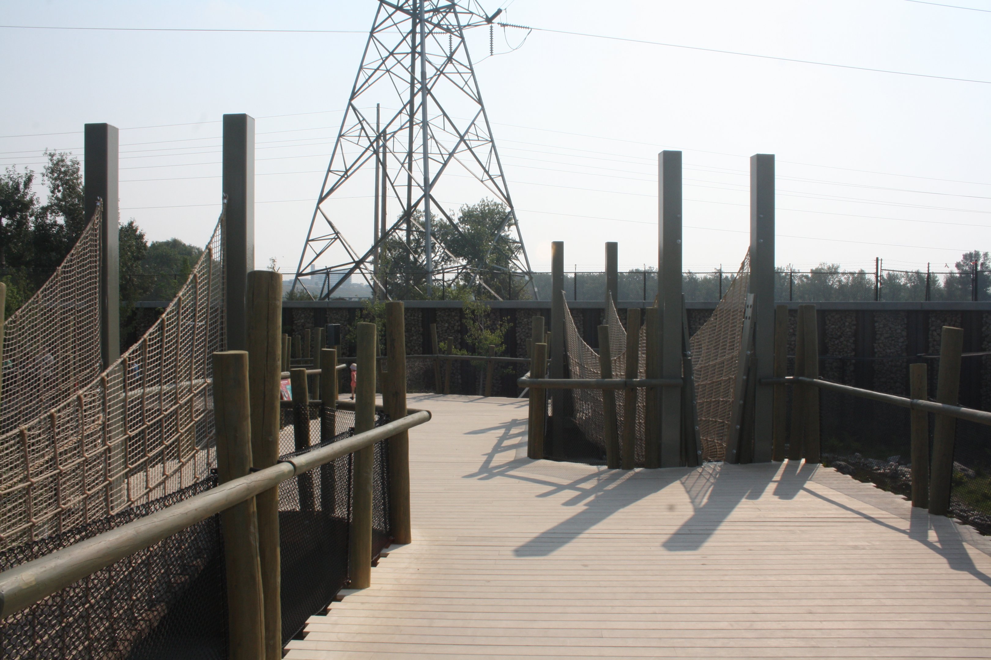 Land of Lemurs (New in 2017 and costing $8 million) - Visitor Boardwalk + Bridges