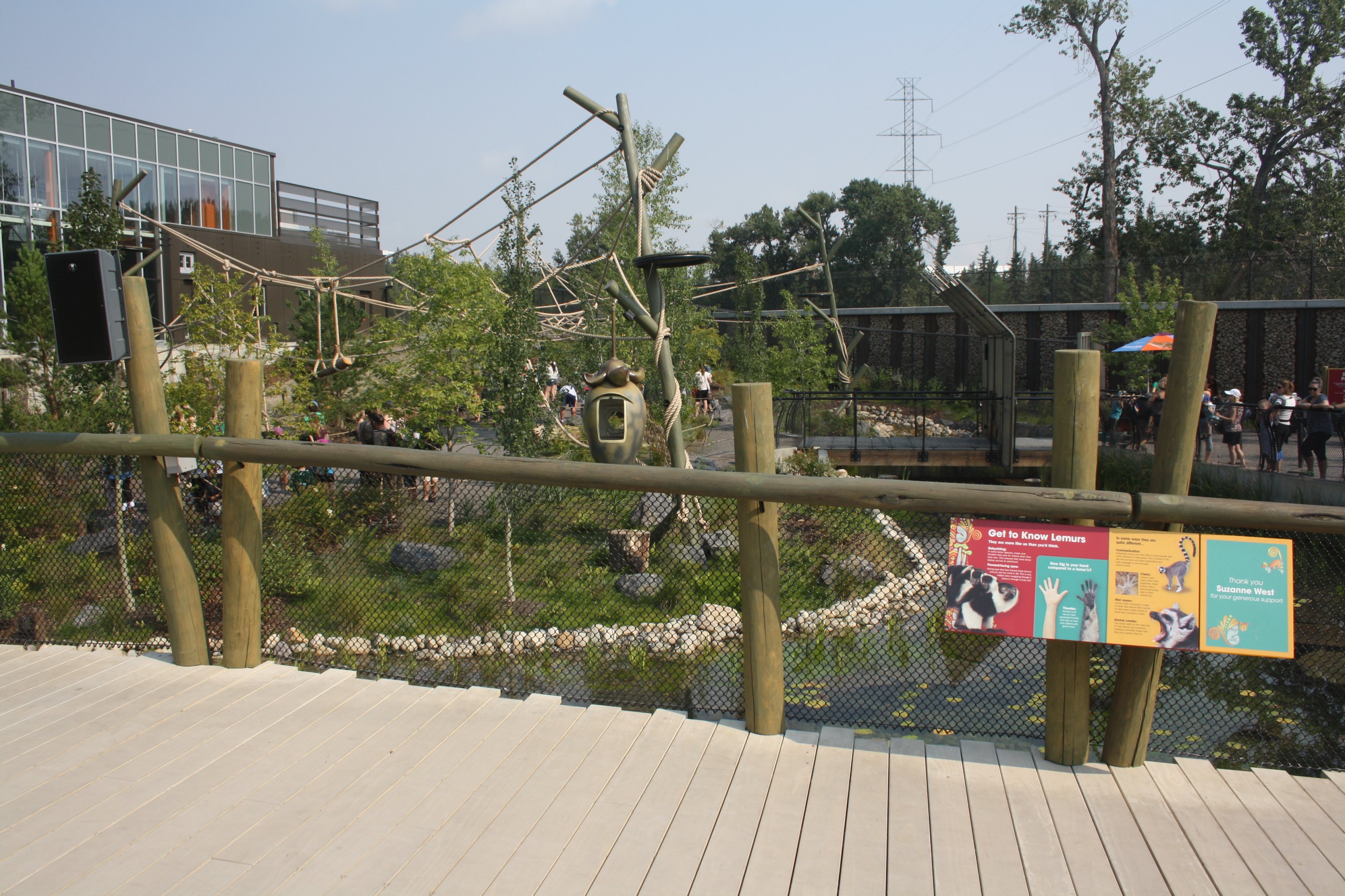 Land of Lemurs (New in 2017 and costing $8 million) - Walk-Through Exhibit