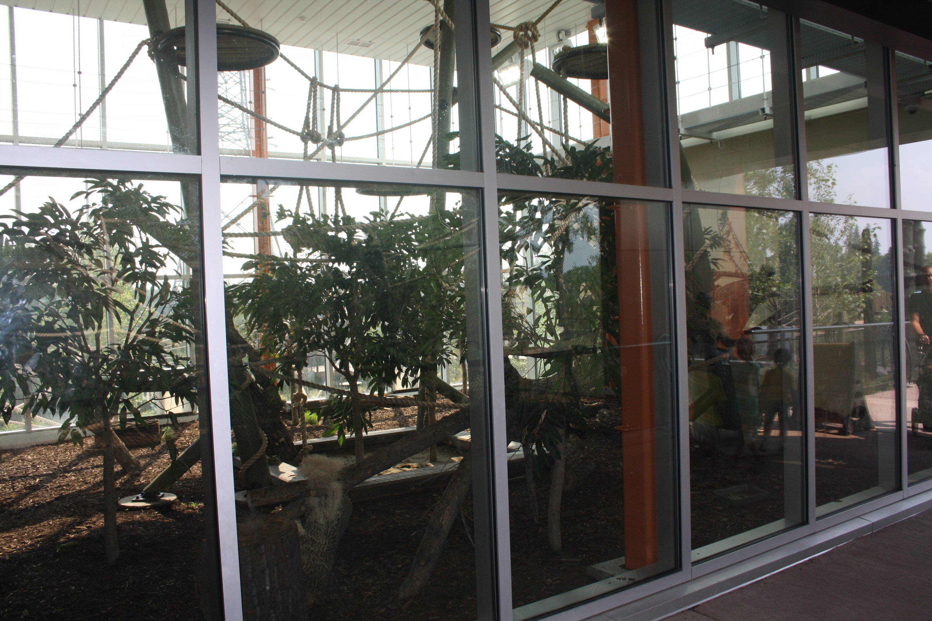 Land of Lemurs (New in 2017 and costing $8 million) - Winter Viewing Exhibit