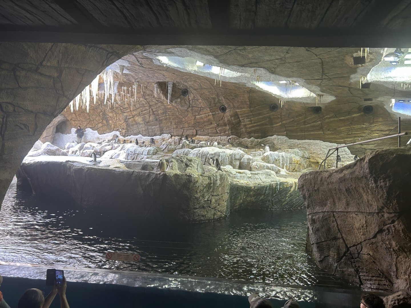 Land of the Cold - Antarctic Penguin Exhibit