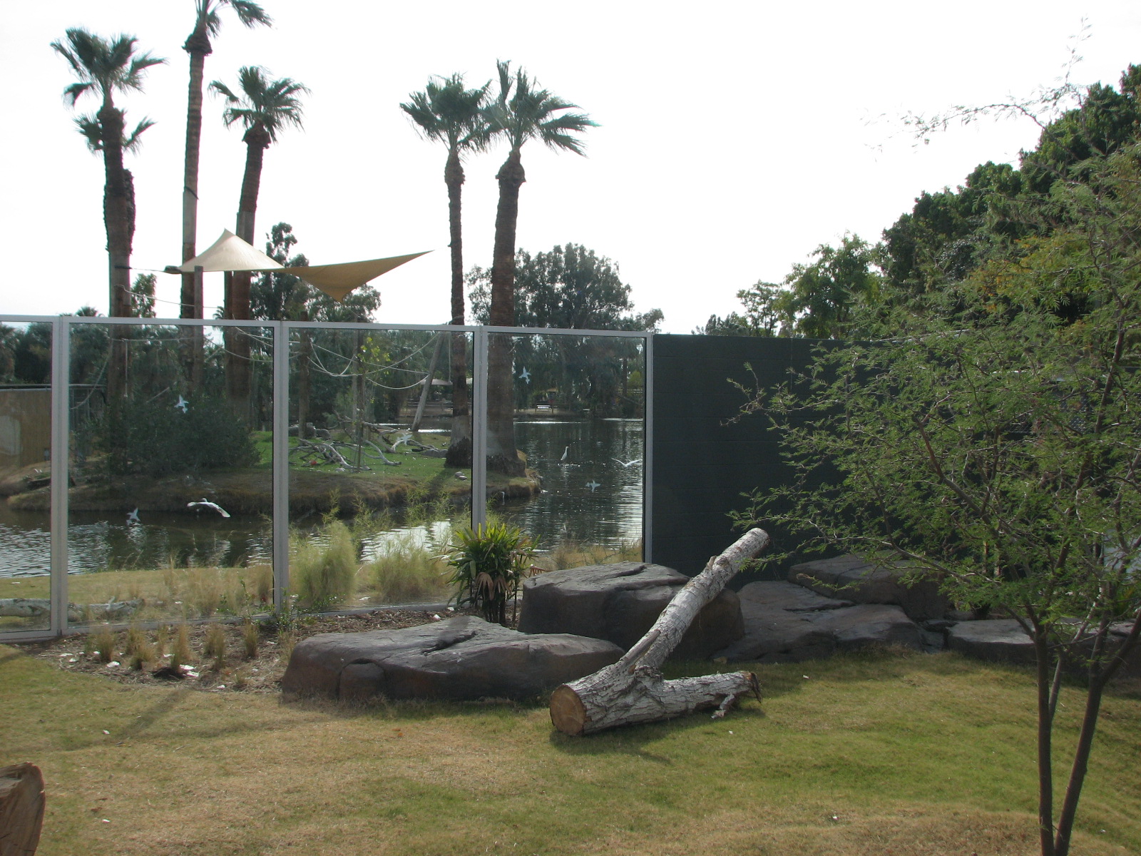 Land of the Dragons - Exhibit 1