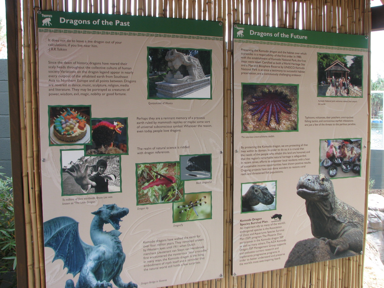 Land of the Dragons - Exhibit Graphics