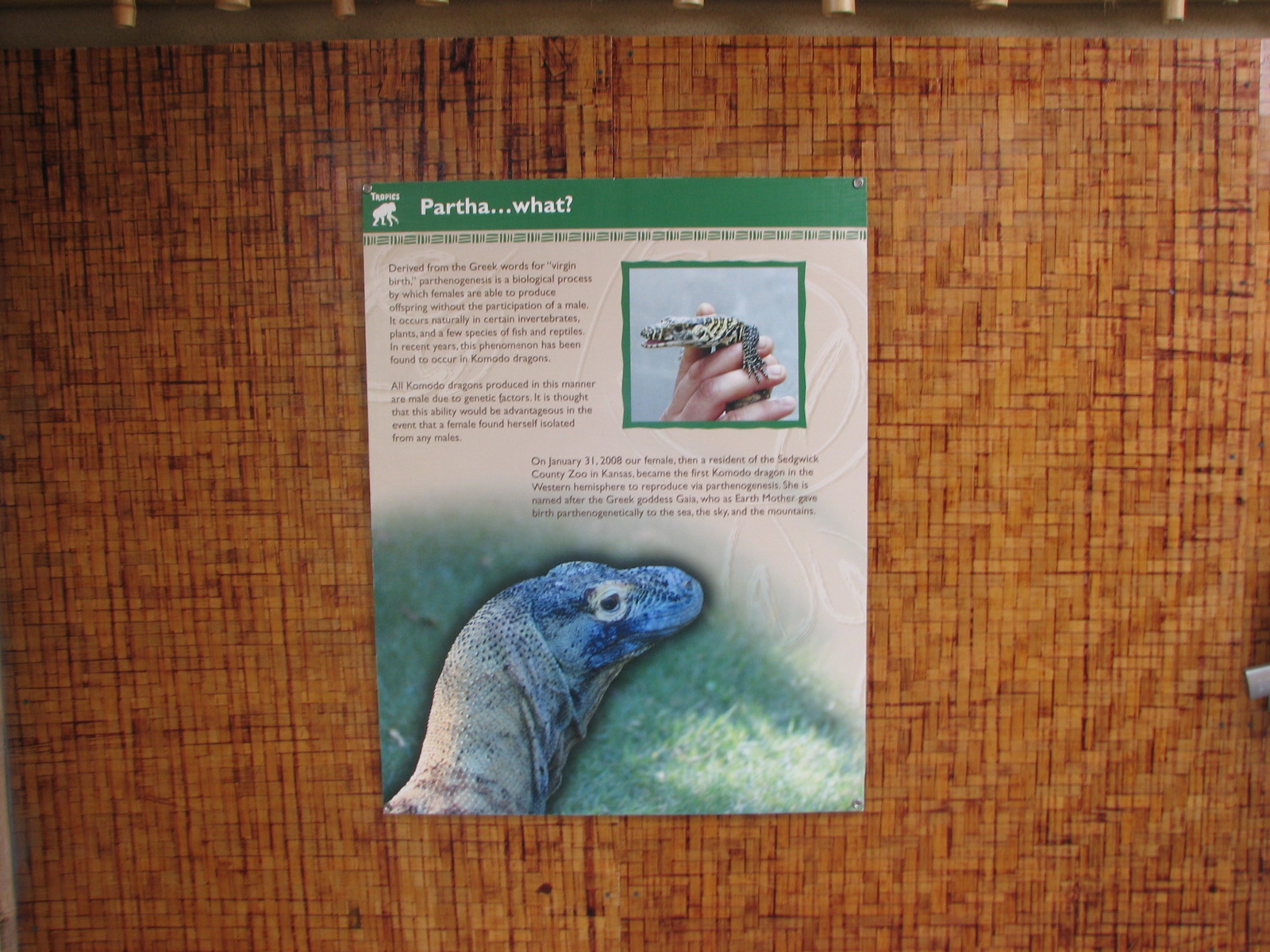 Land of the Dragons - Exhibit Graphics