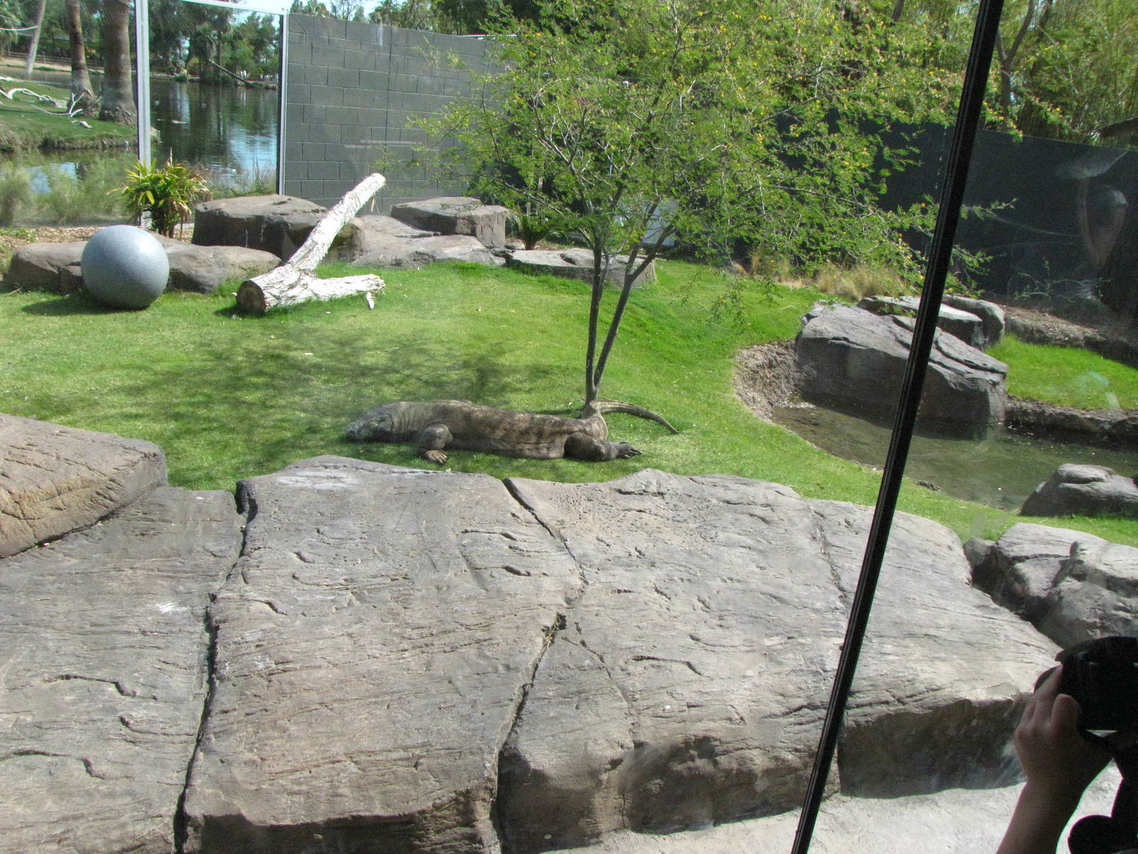 Land of the Dragons Viewing Window