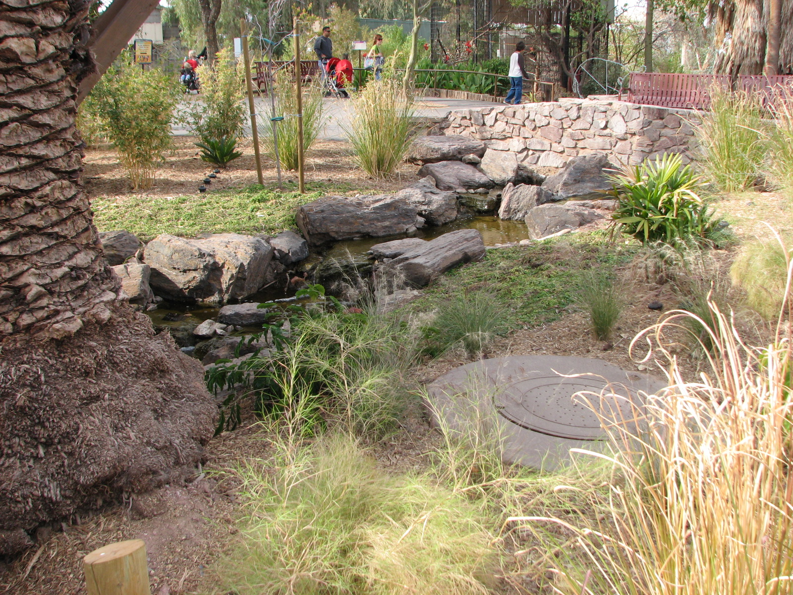 Land of the Dragons - Visitor Area Landscaping